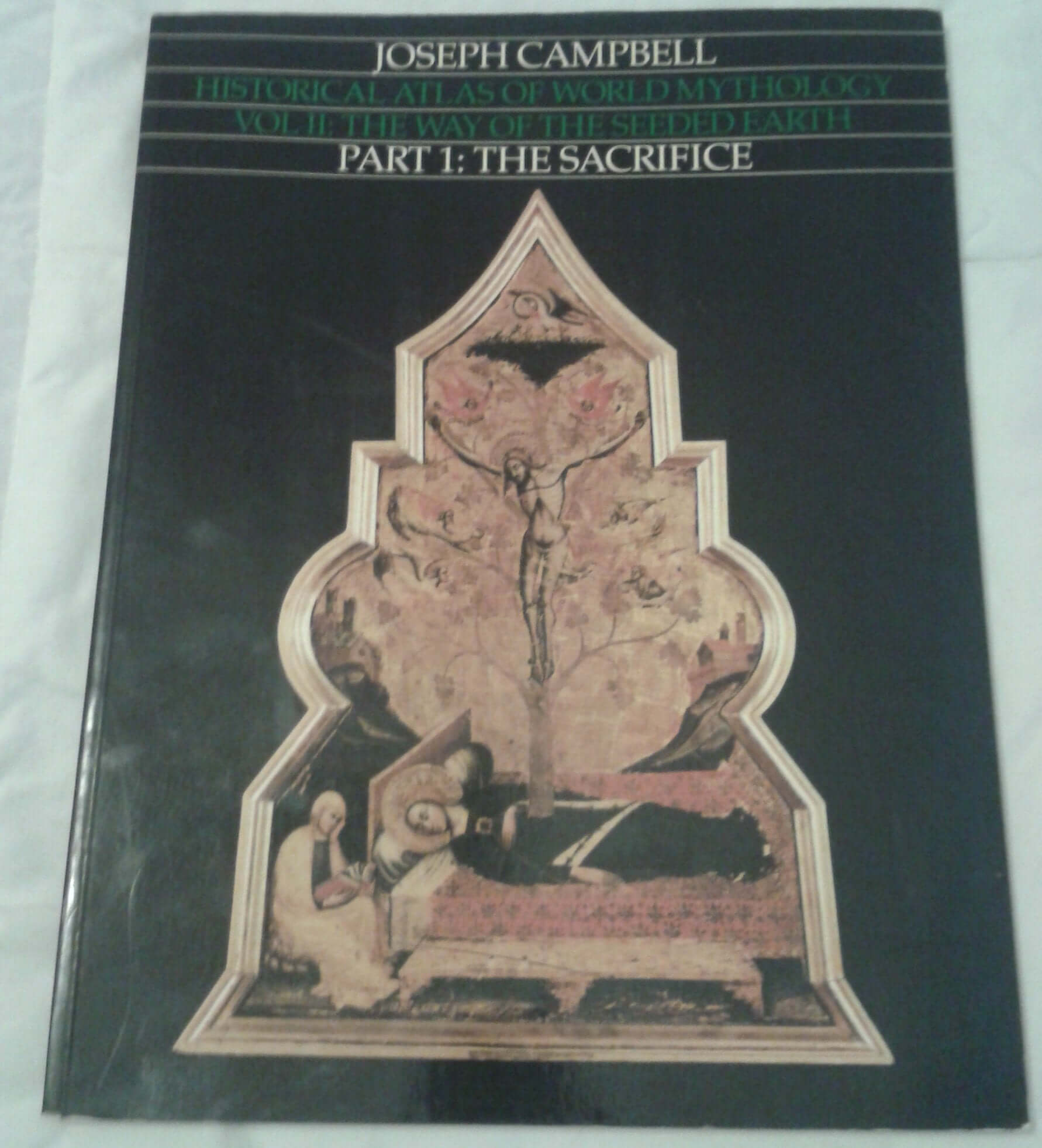 Historical Atlas of World Mythology Vol. II: The Way of the Seeded Earth, Part 1: The Sacrifice used book depot