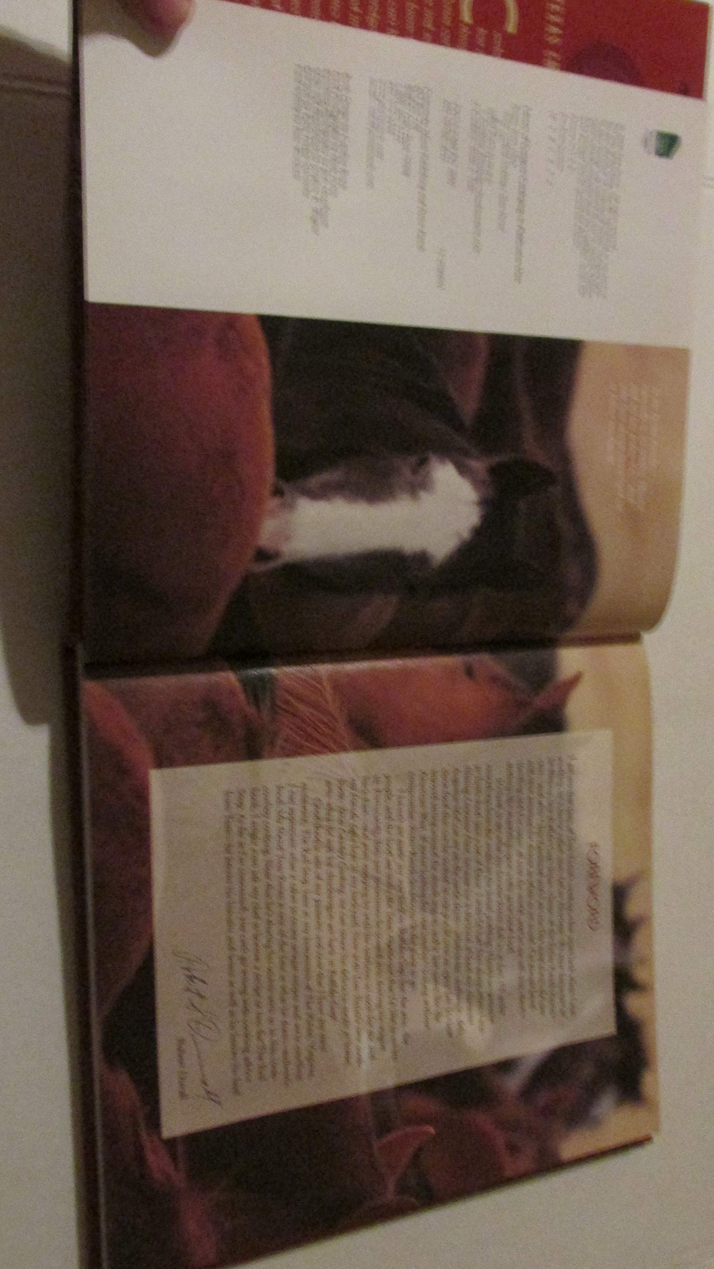 Texas Cowboy Cooking used book depot