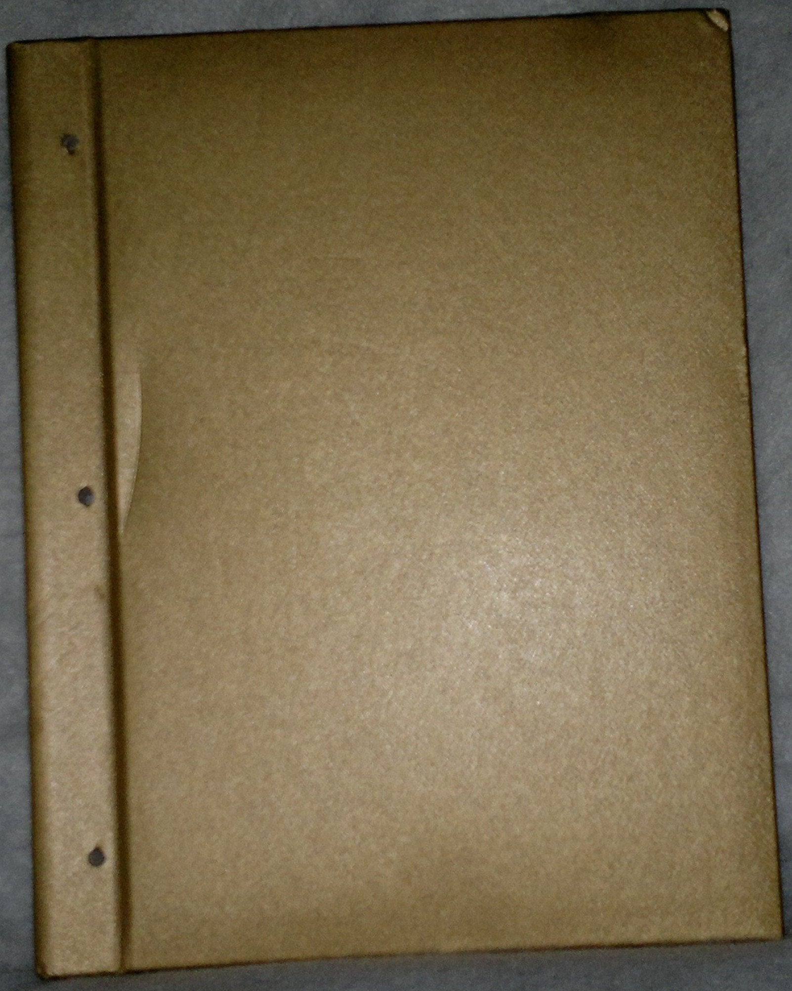 Leaves of Gold: An Anthology of Prayers, Memorable Phrases, Inspirational Verse, and Prose (Gold Deluxe Edition) used book depot