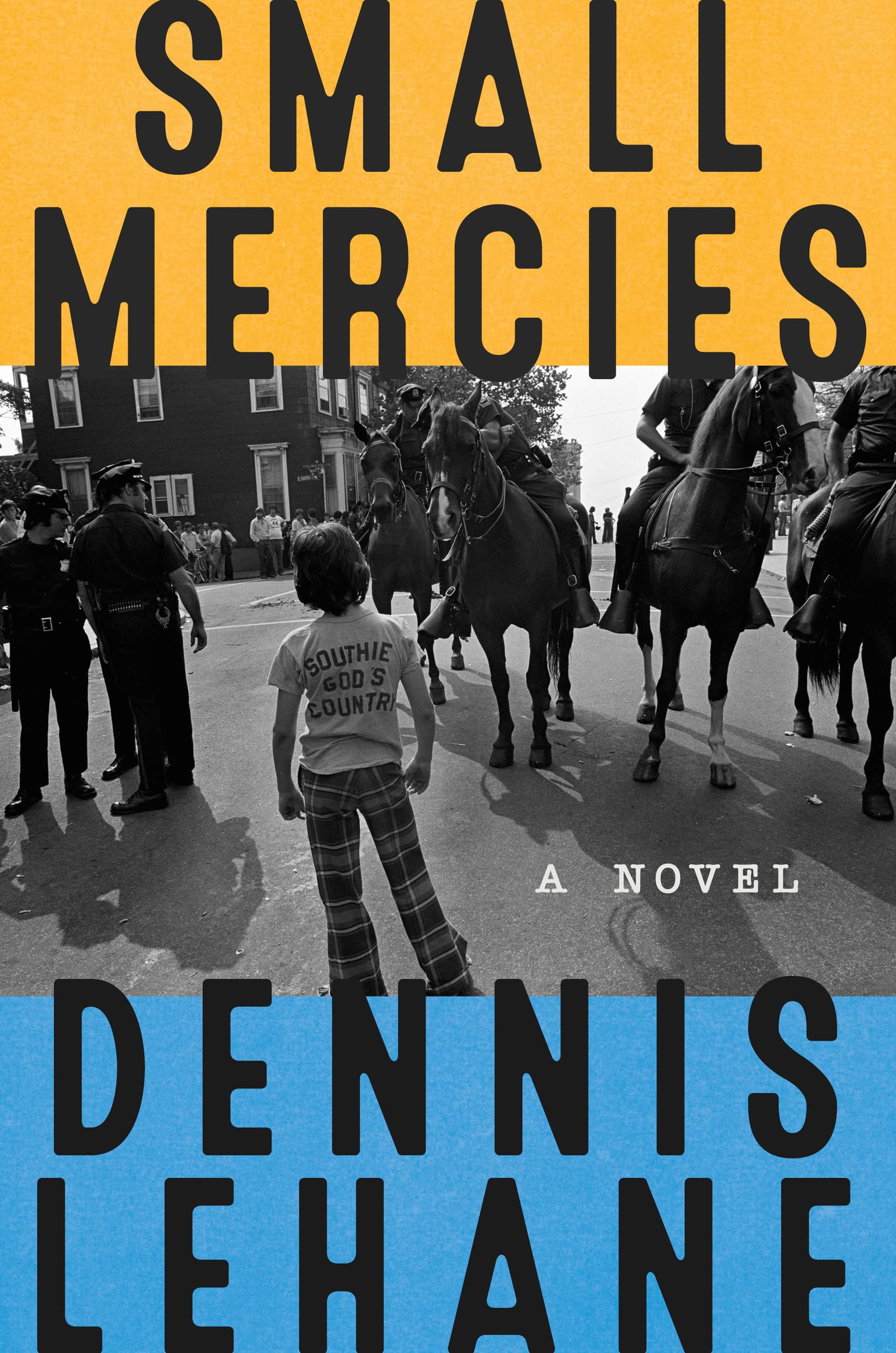 Small Mercies: A Detective Mystery used book depot