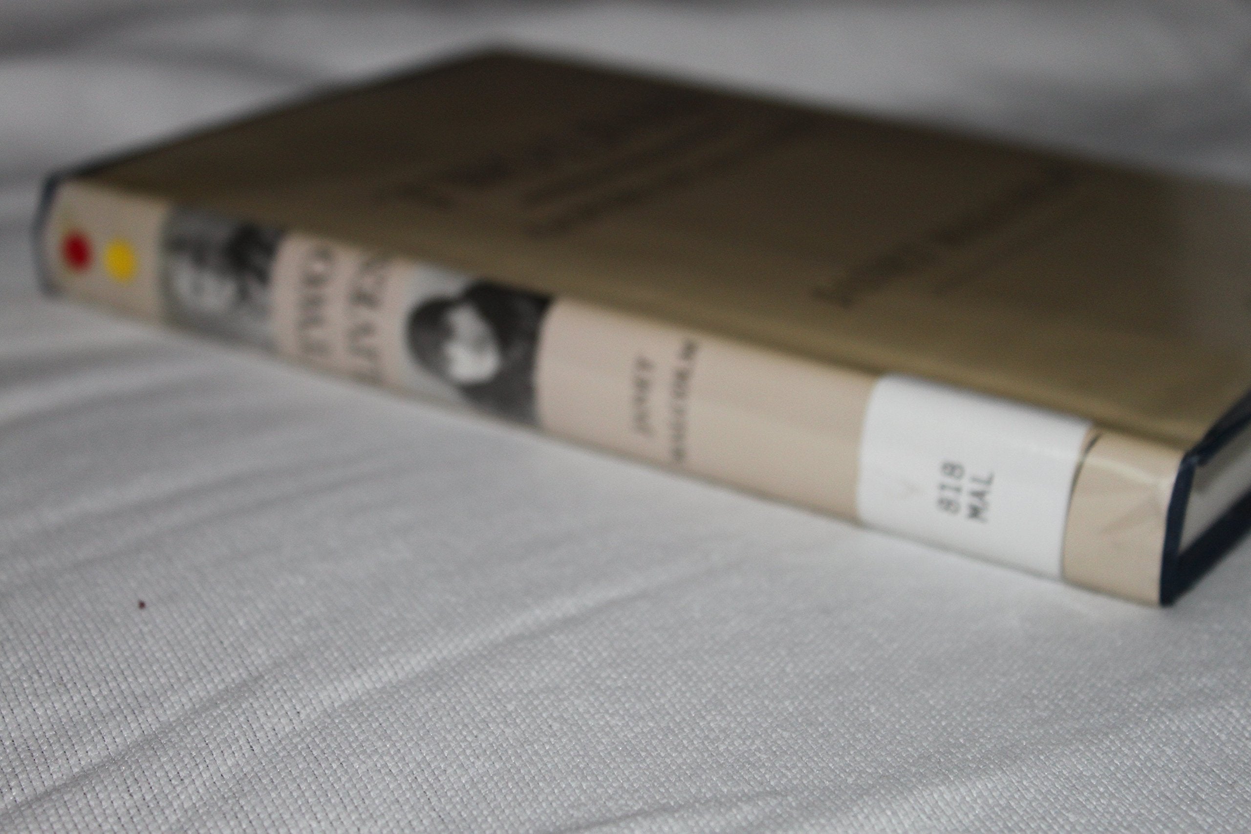 Two Lives: Gertrude and Alice used book depot