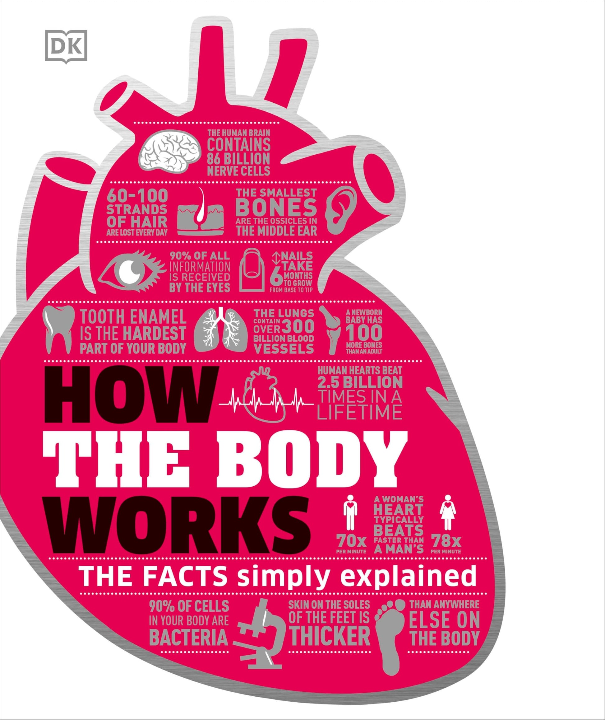 How the Body Works: The Facts Simply Explained (DK How Stuff Works) used book depot
