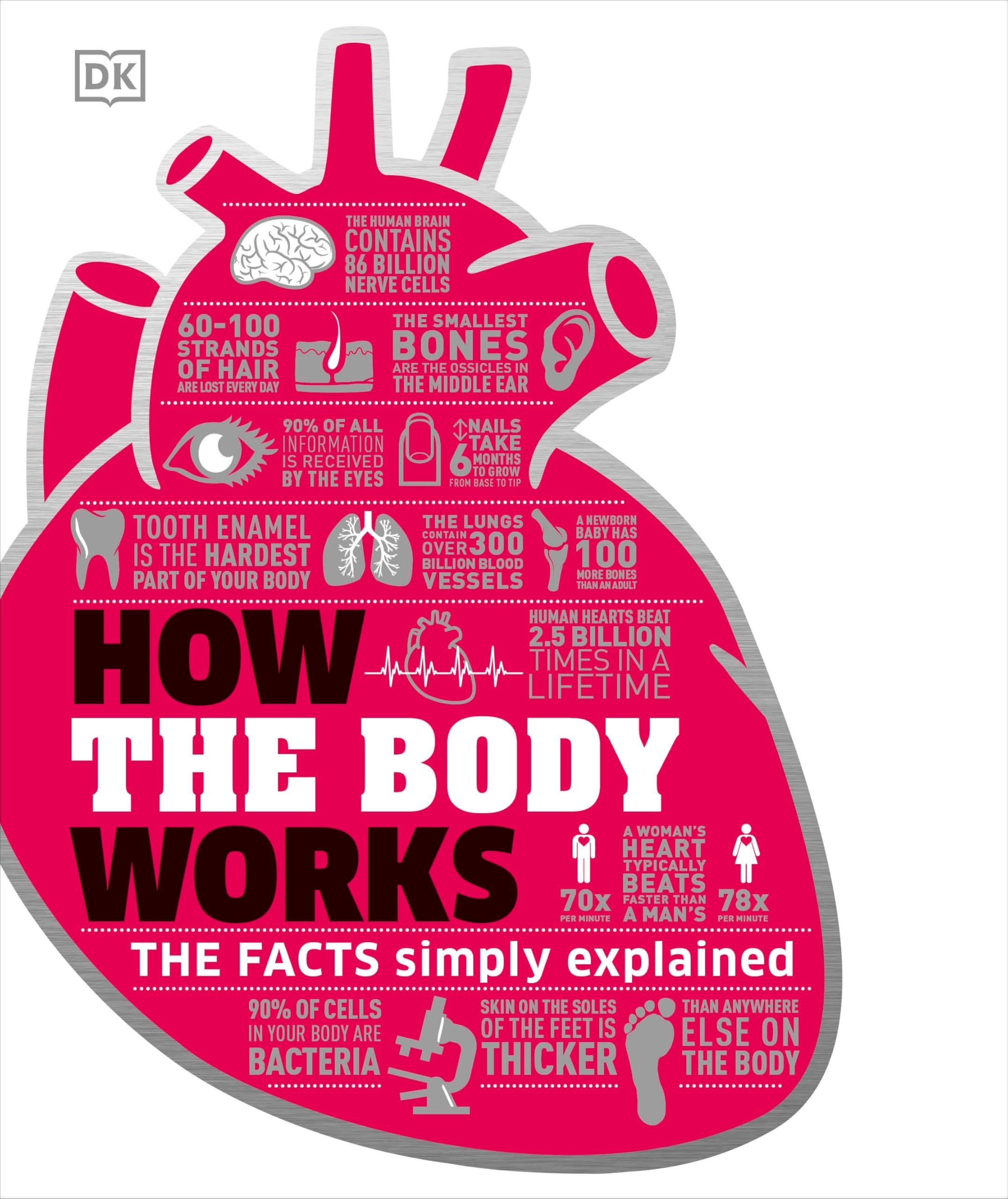 How the Body Works: The Facts Simply Explained (DK How Stuff Works) used book depot