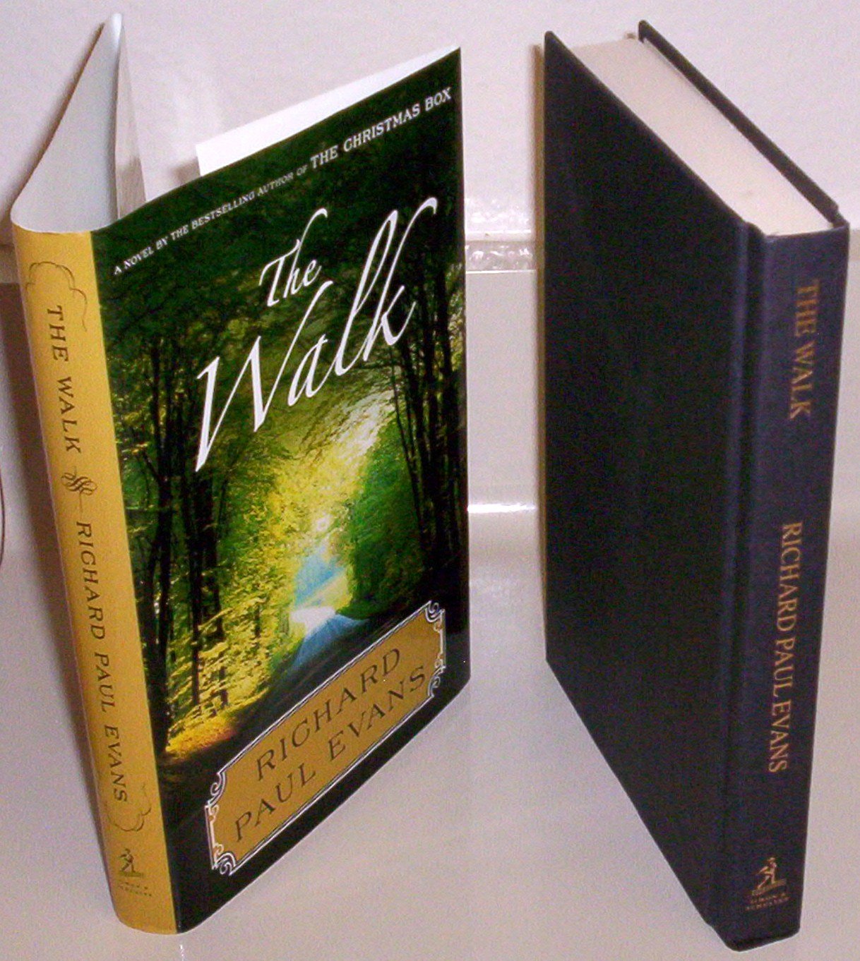 The Walk: A Novel (Walk Series, 1) used book depot