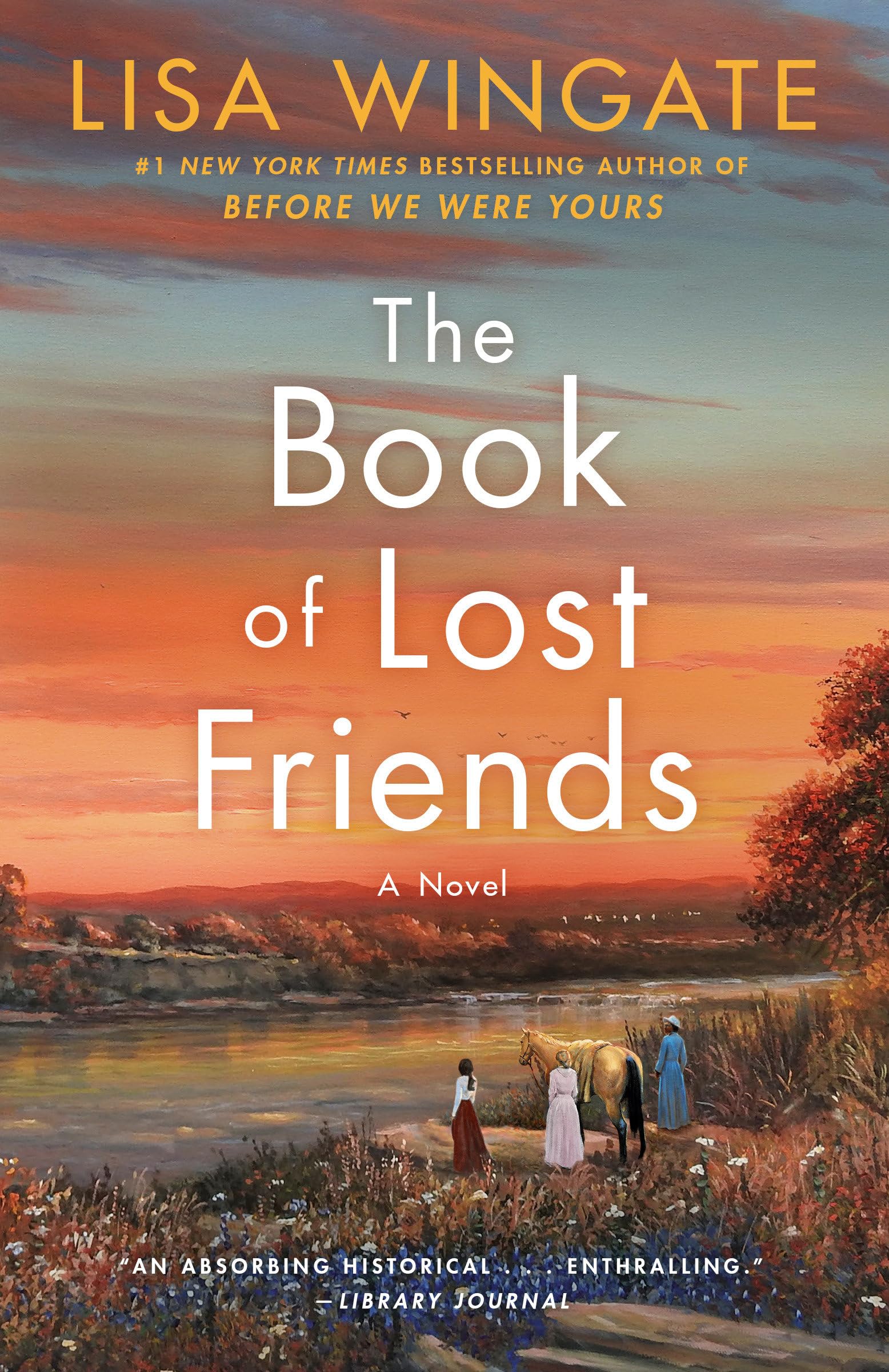 The Book of Lost Friends: A Novel used book depot