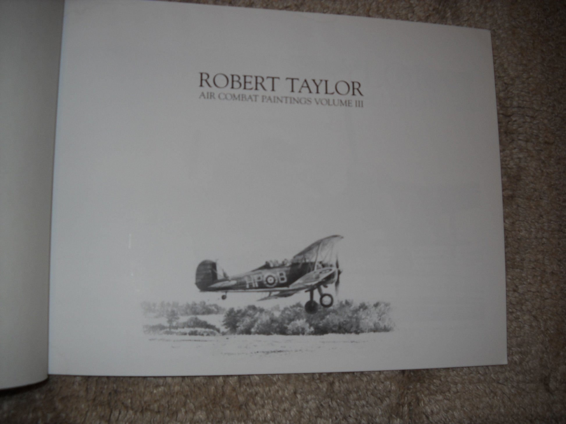 Robert Taylor Air Combat Paintings (Volume III) used book depot