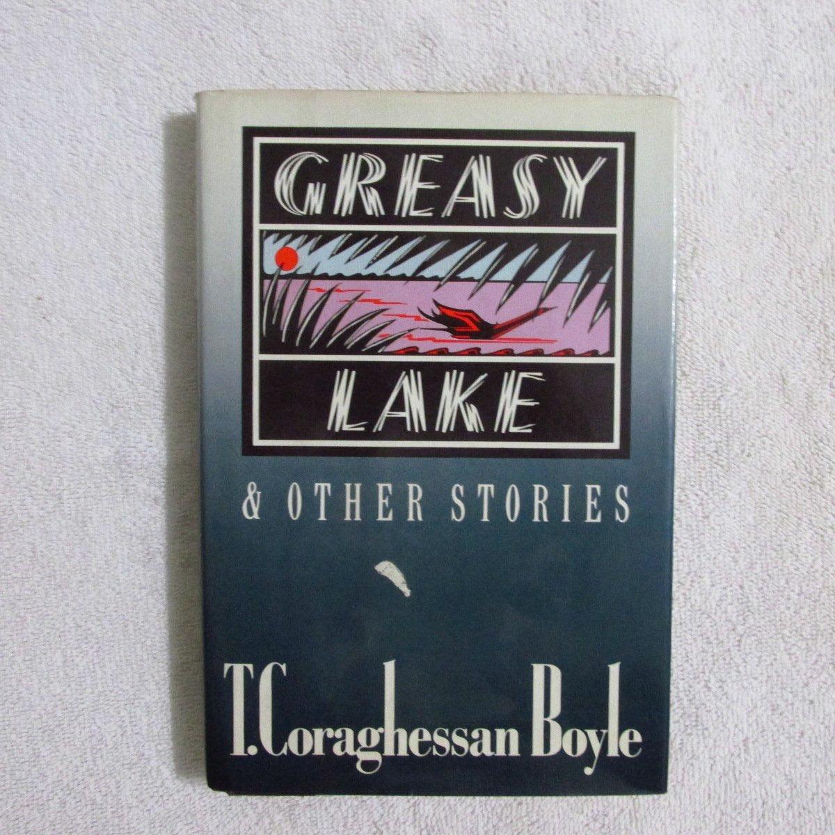 Greasy Lake and Other Stories used book depot