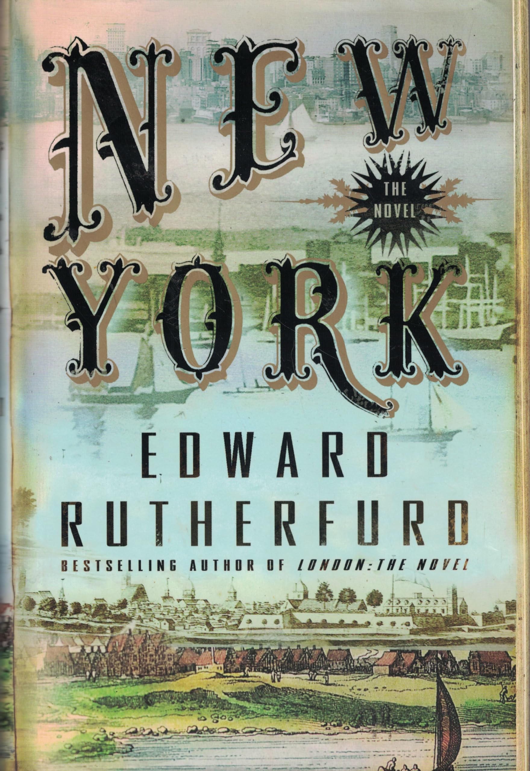 New York: The Novel used book depot