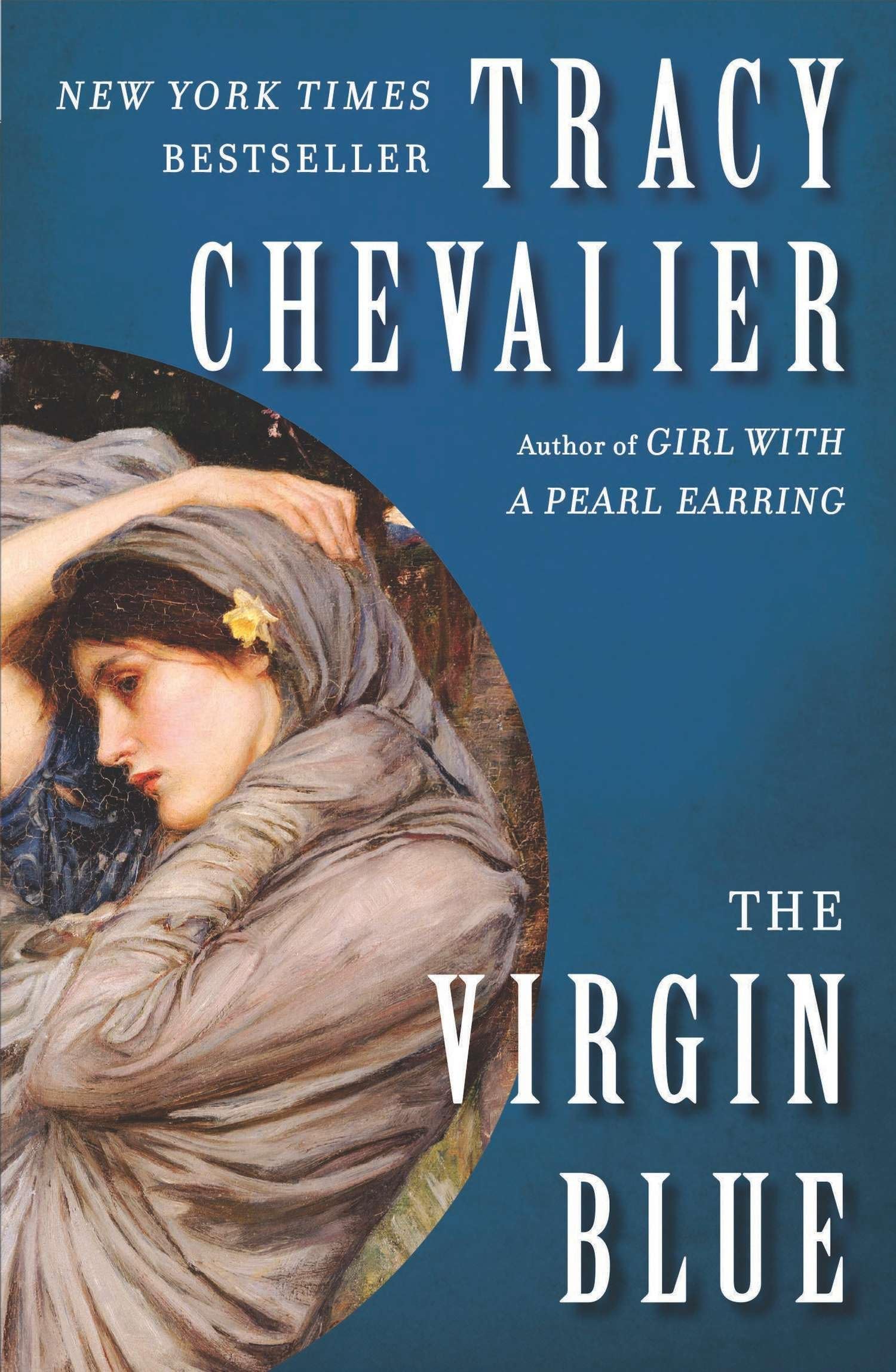 The Virgin Blue: A Novel used book depot