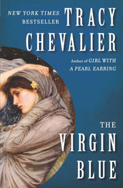 The Virgin Blue: A Novel used book depot