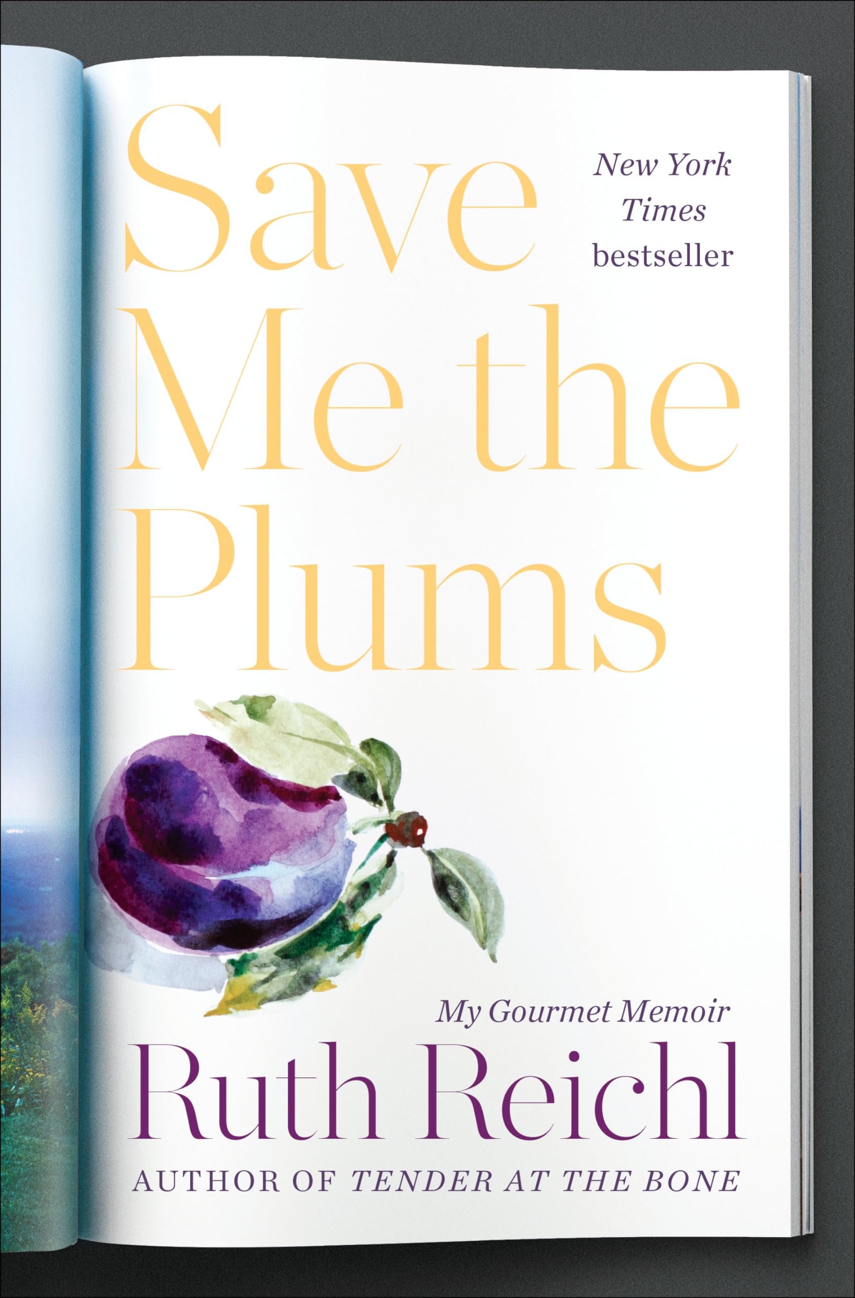 Save Me the Plums: My Gourmet Memoir used book depot