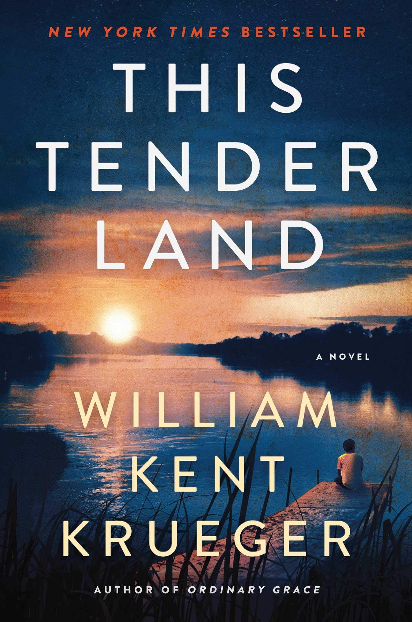 This Tender Land: A Novel used book depot