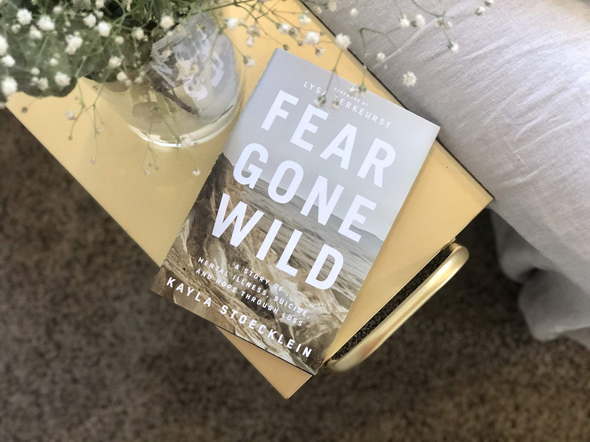 Fear Gone Wild: A Story of Mental Illness, Suicide, and Hope Through Loss used book depot