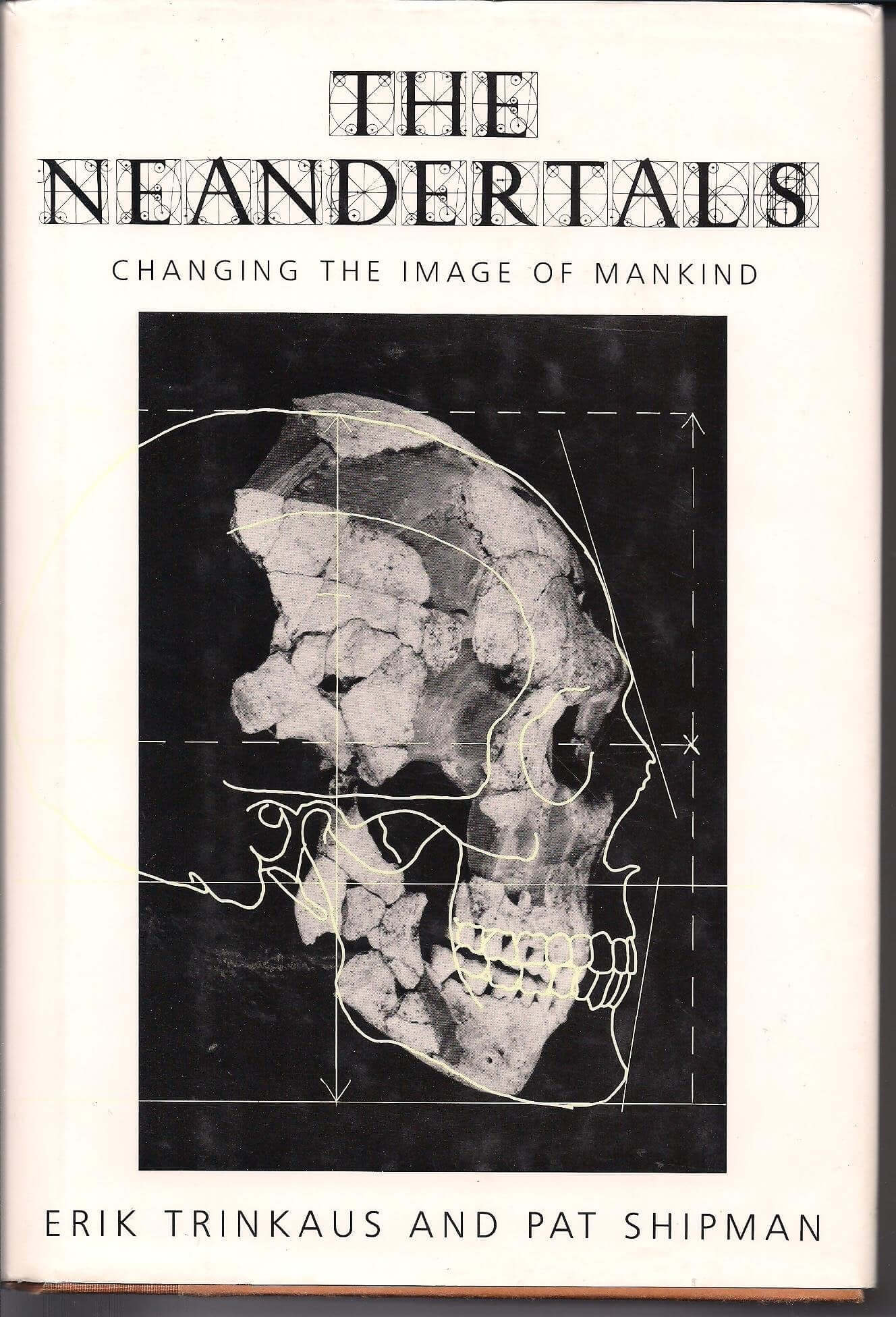 The Neandertals: Changing the Image of Mankind used book depot