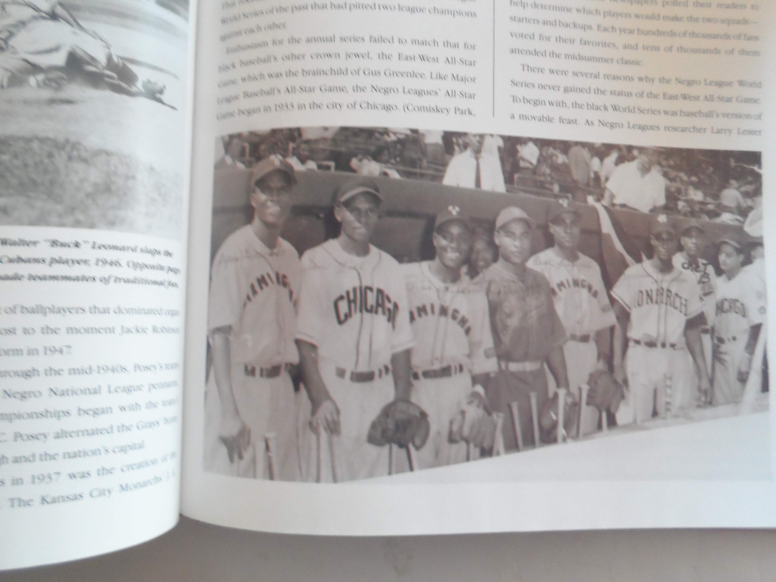 The Negro Leagues used book depot