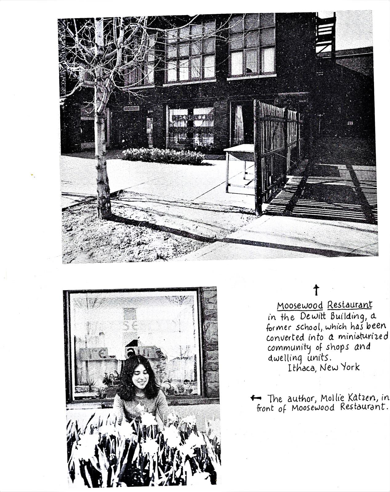 The Moosewood Cookbook: Recipes from Moosewood Restaurant, Ithaca, New York used book depot