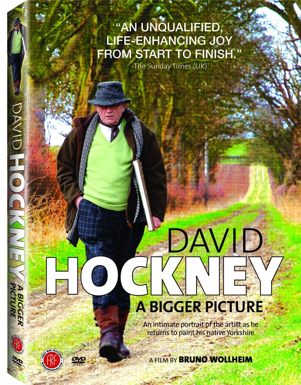 David Hockney: A Bigger Picture used book depot