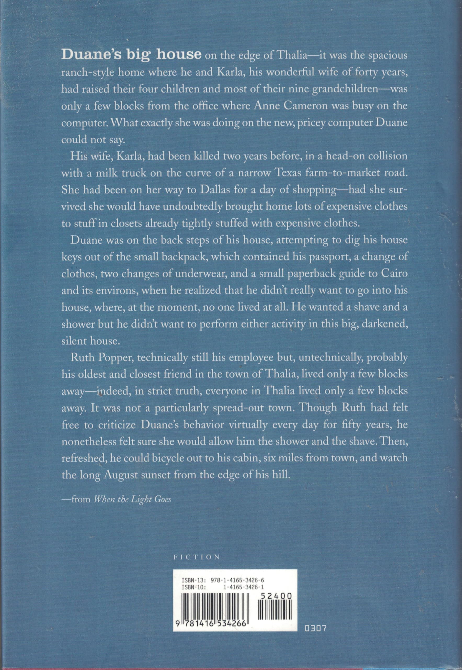 When the Light Goes: A Novel used book depot