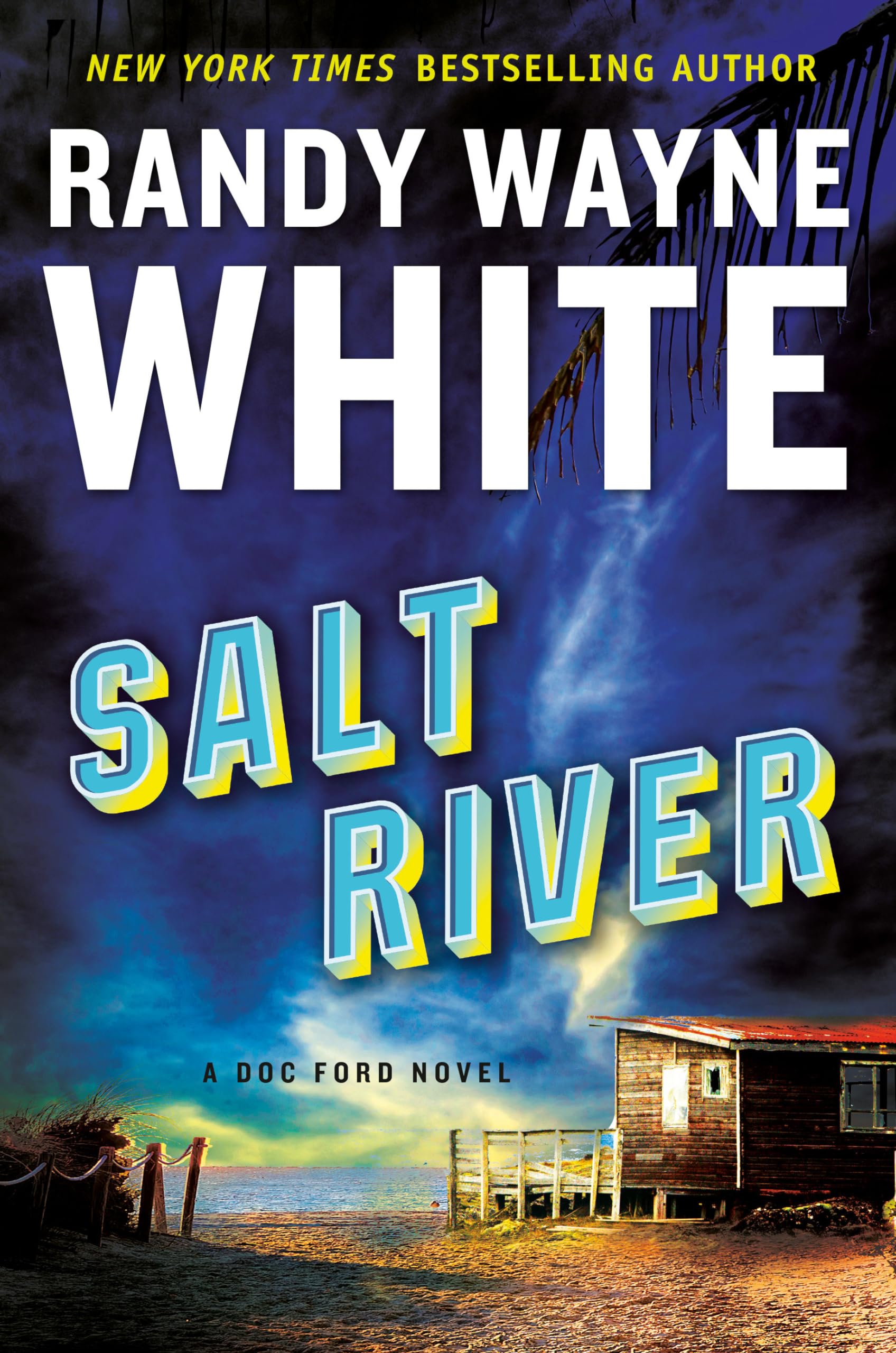 Salt River (A Doc Ford Novel) used book depot
