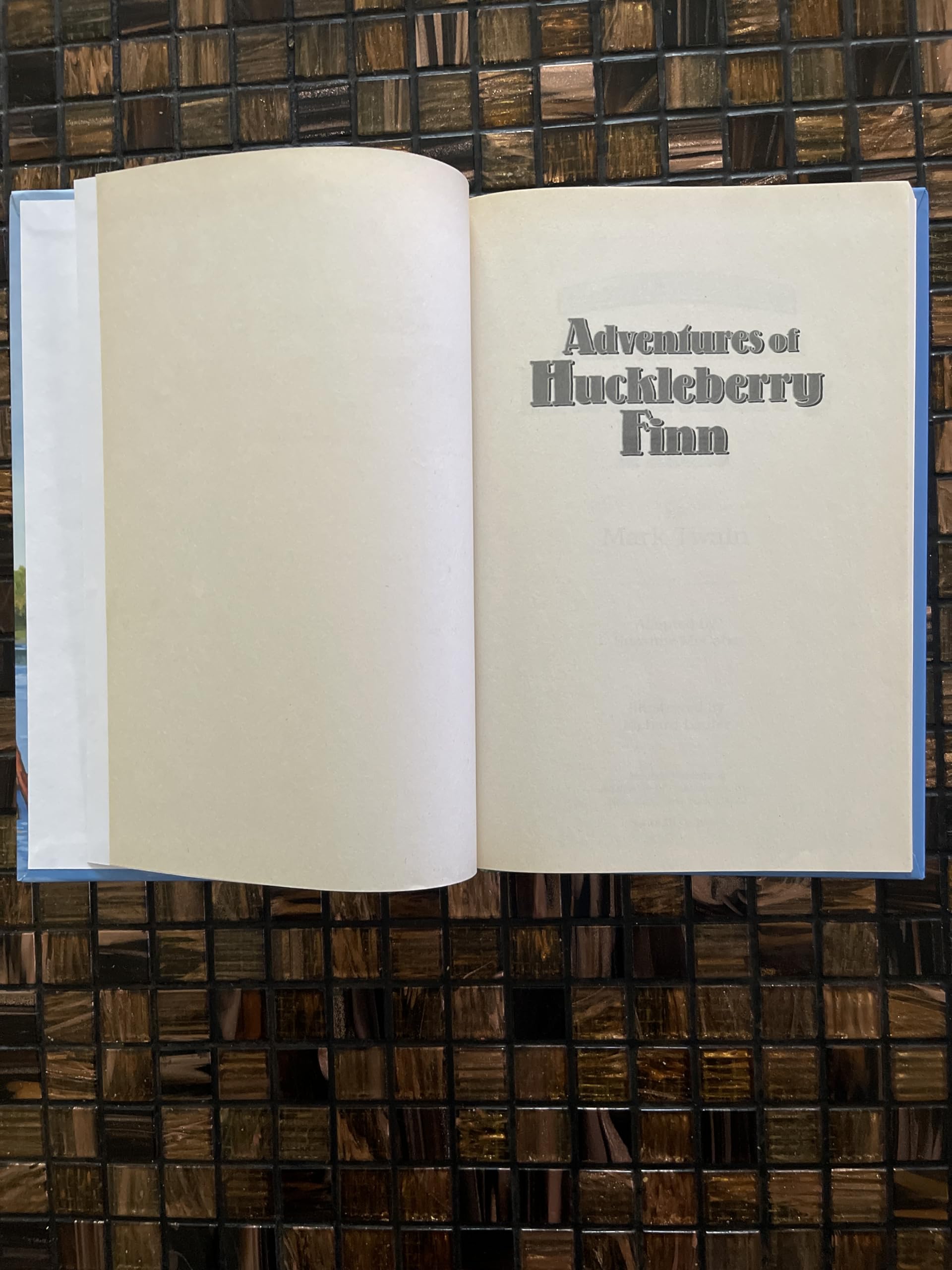 Adventures of Huckleberry Finn used book depot