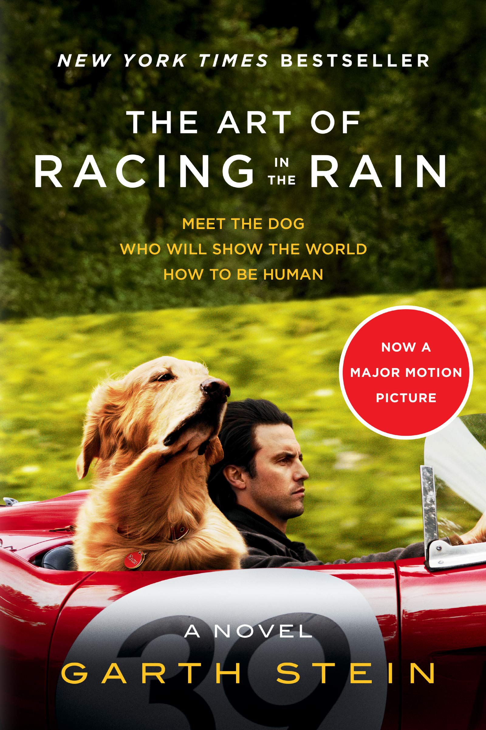 The Art of Racing in the Rain Tie-in: A Novel used book depot