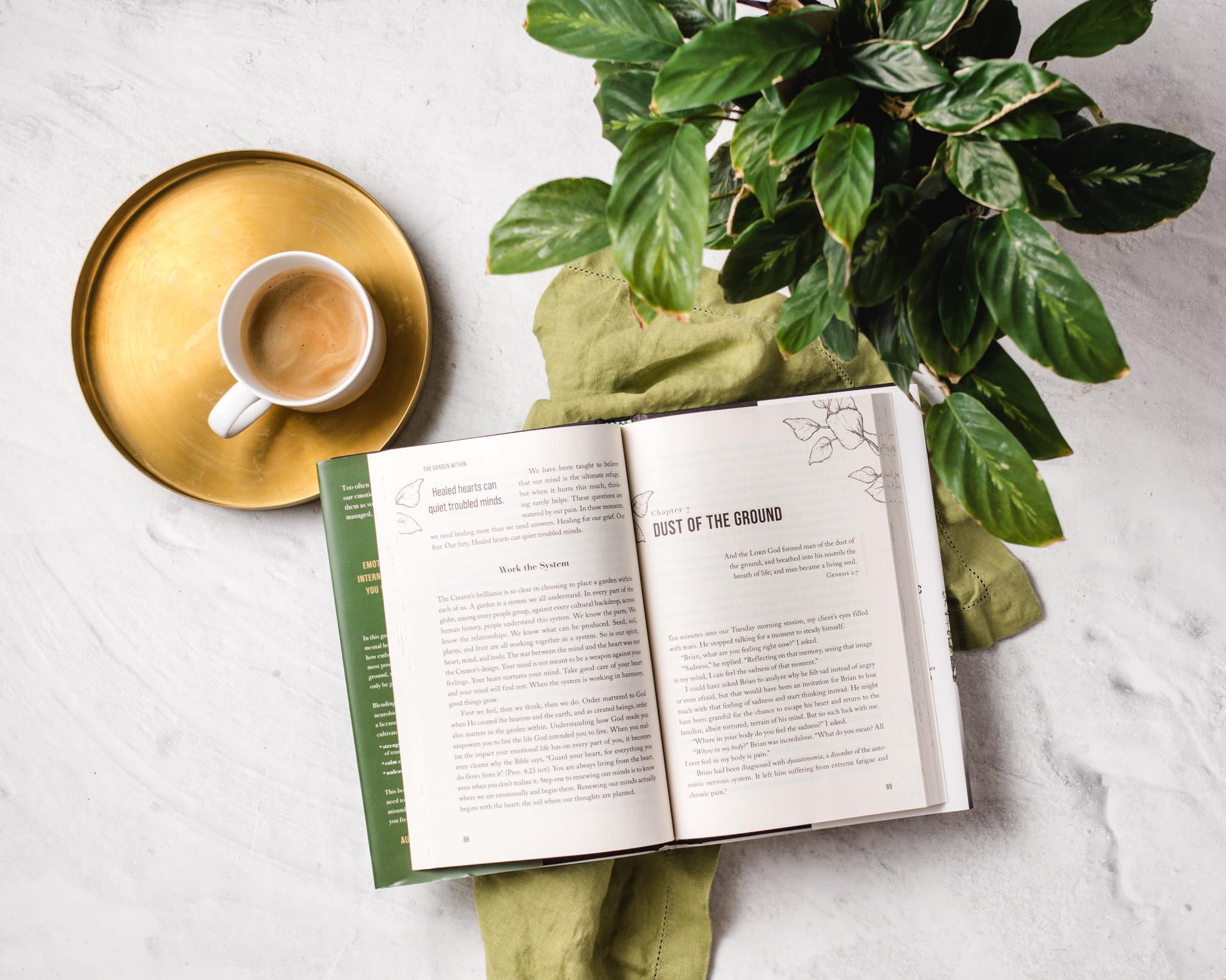 The Garden Within: Where the War with Your Emotions Ends and Your Most Powerful Life Begins used book depot