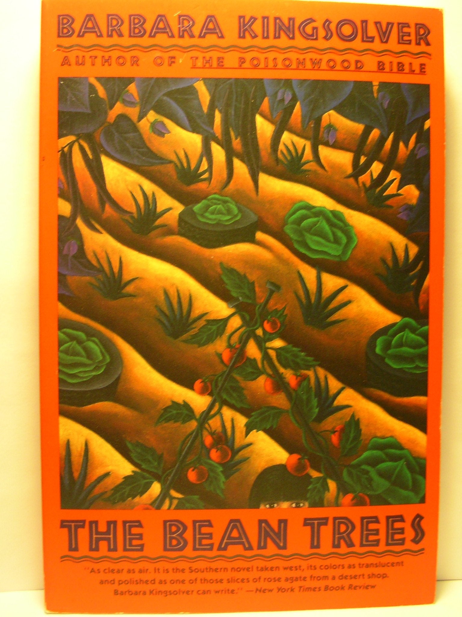 The Bean Trees used book depot