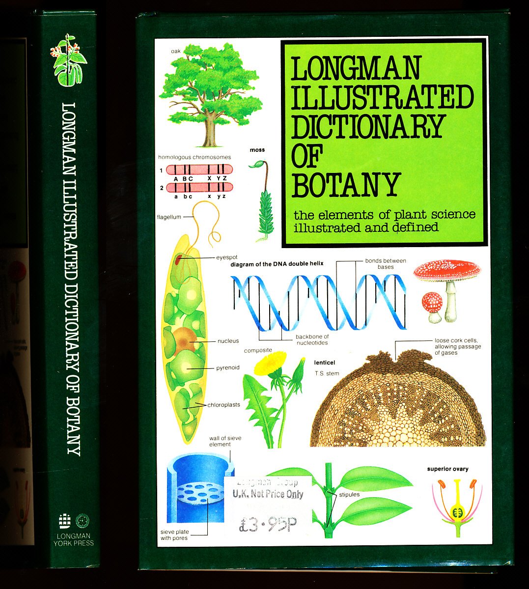 Longman Illustrated Dictionary of Botany: The Elements of Plant Science Illustrated and Defined (Illustrated Dictionary Series) used book depot