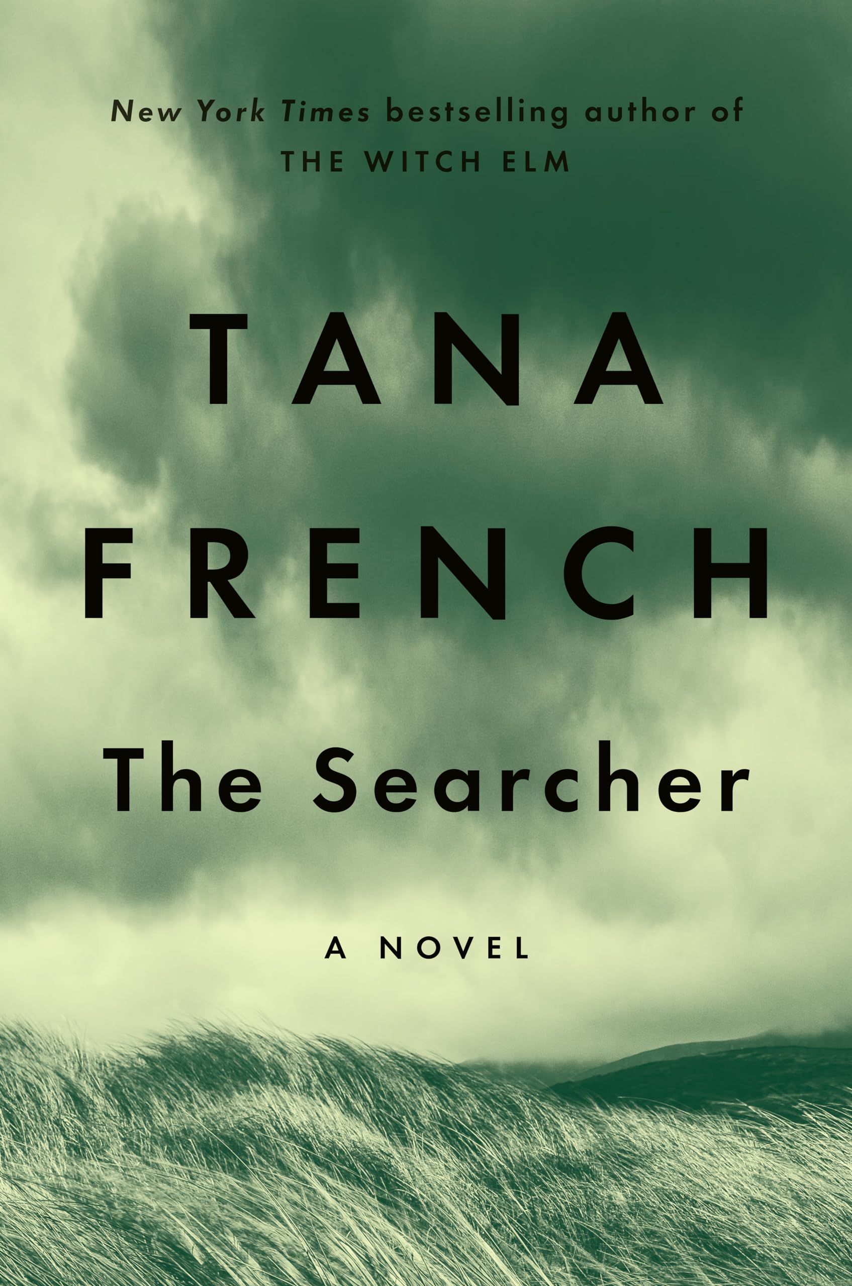The Searcher: A Novel used book depot