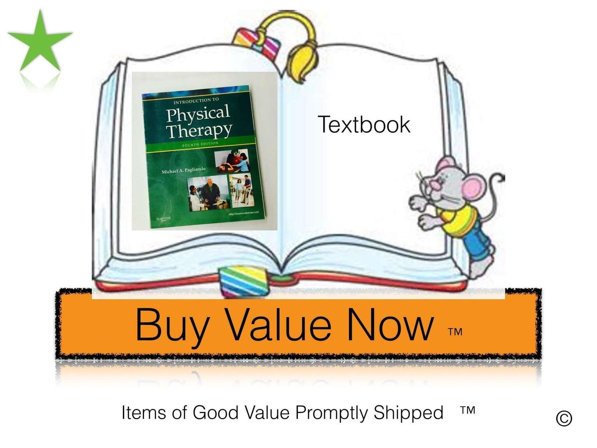 Introduction to Physical Therapy used book depot