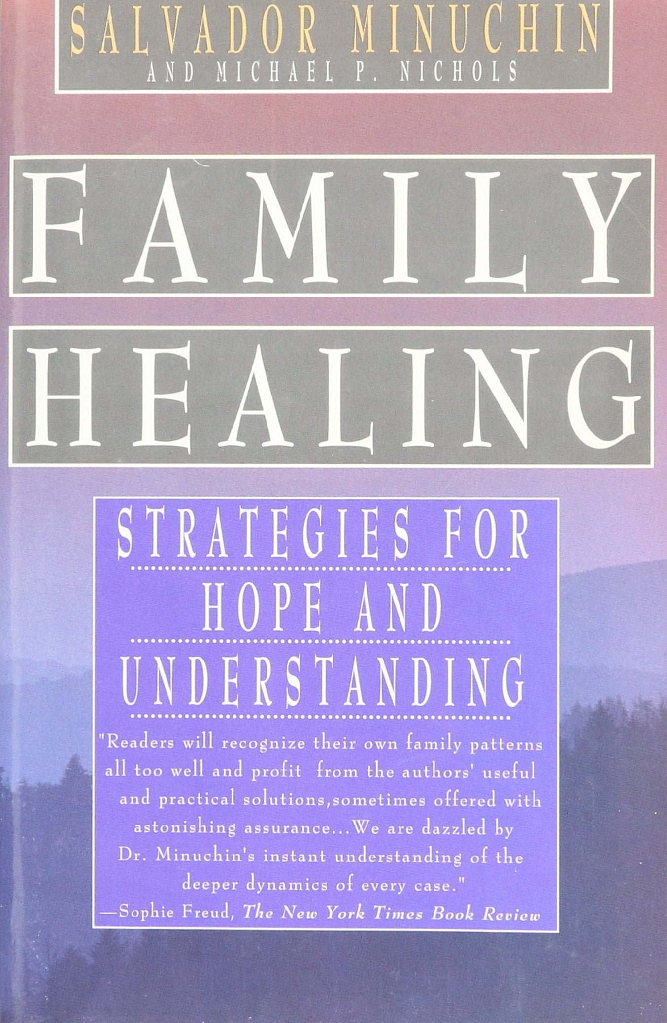 Family Healing: Strategies for Hope and Understanding used book depot