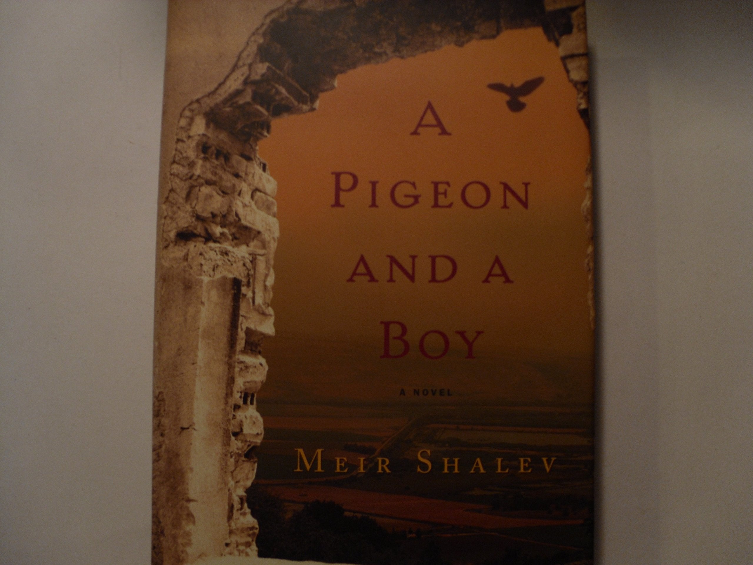 A Pigeon and a Boy: A Novel used book depot