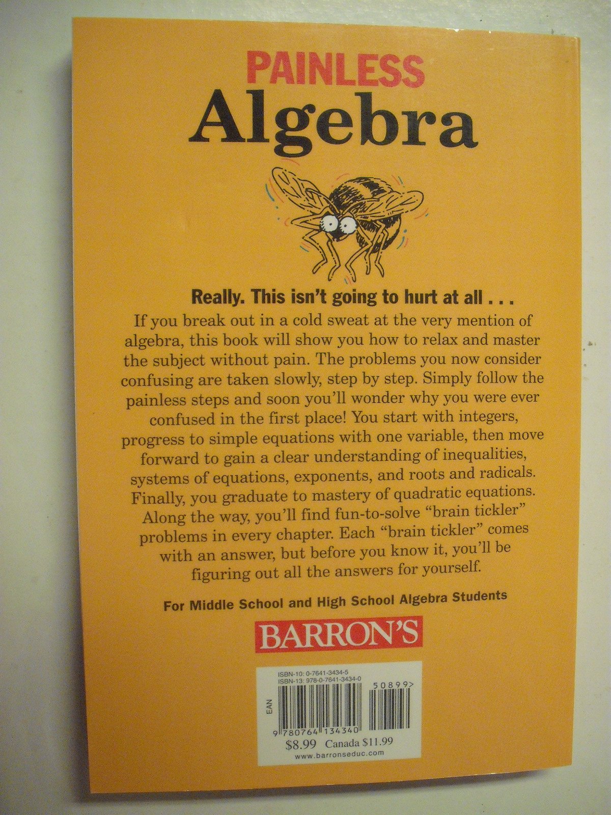 Painless Algebra (Barron's Painless) used book depot