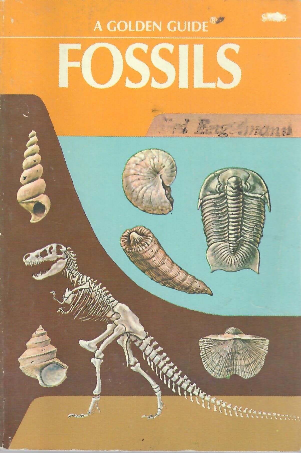 Fossils: A Guide to Prehistoric Life used book depot