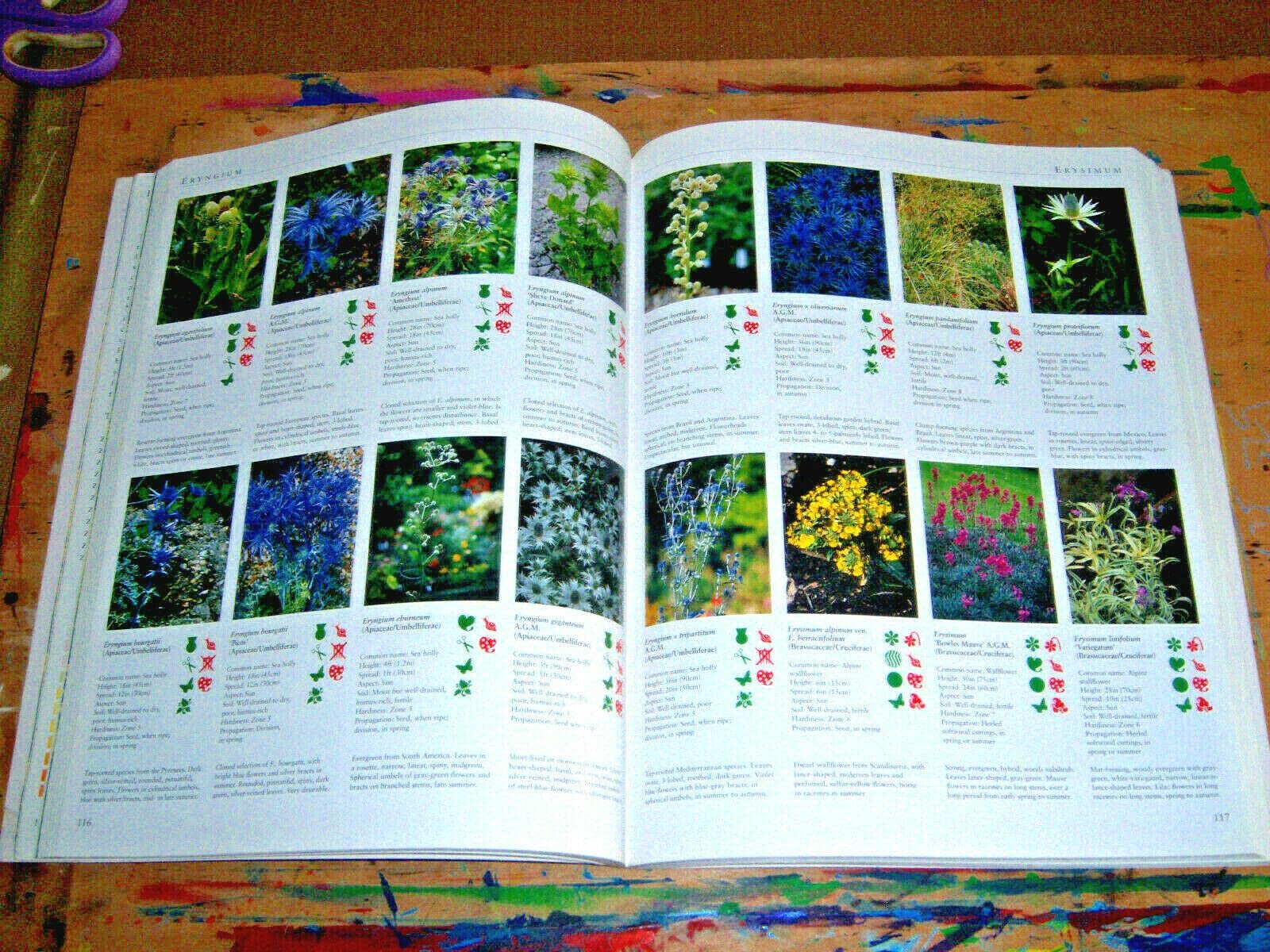 The Illustrated Encyclopedia of Perennials used book depot
