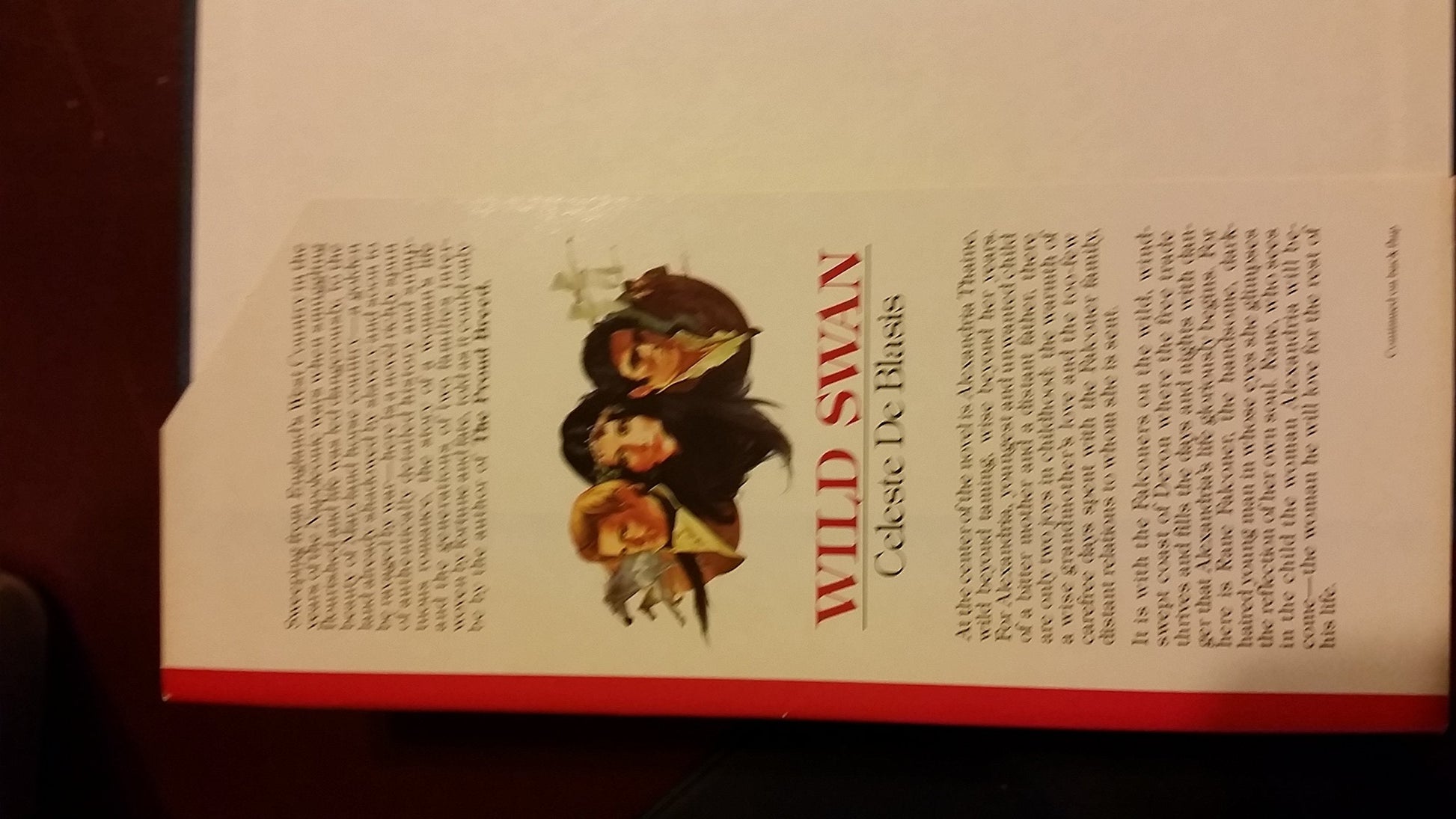 Wild Swan used book depot