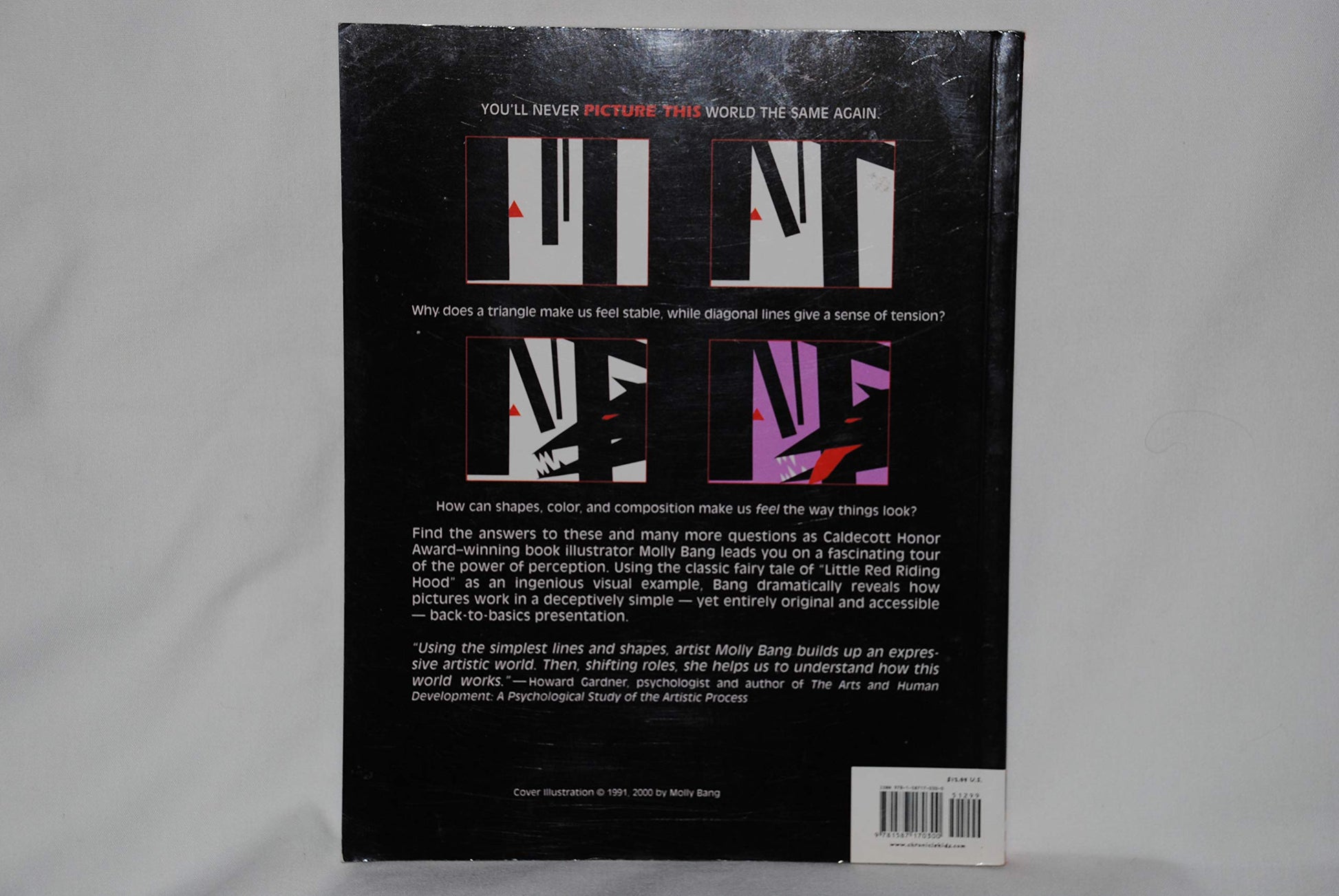 Picture This: How Pictures Work used book depot