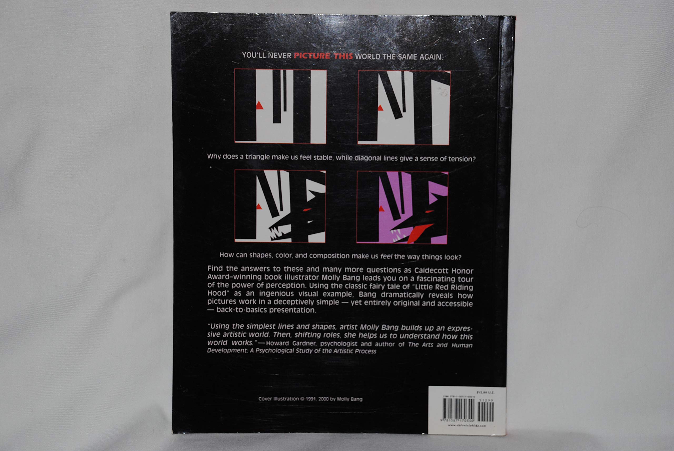 Picture This: How Pictures Work used book depot