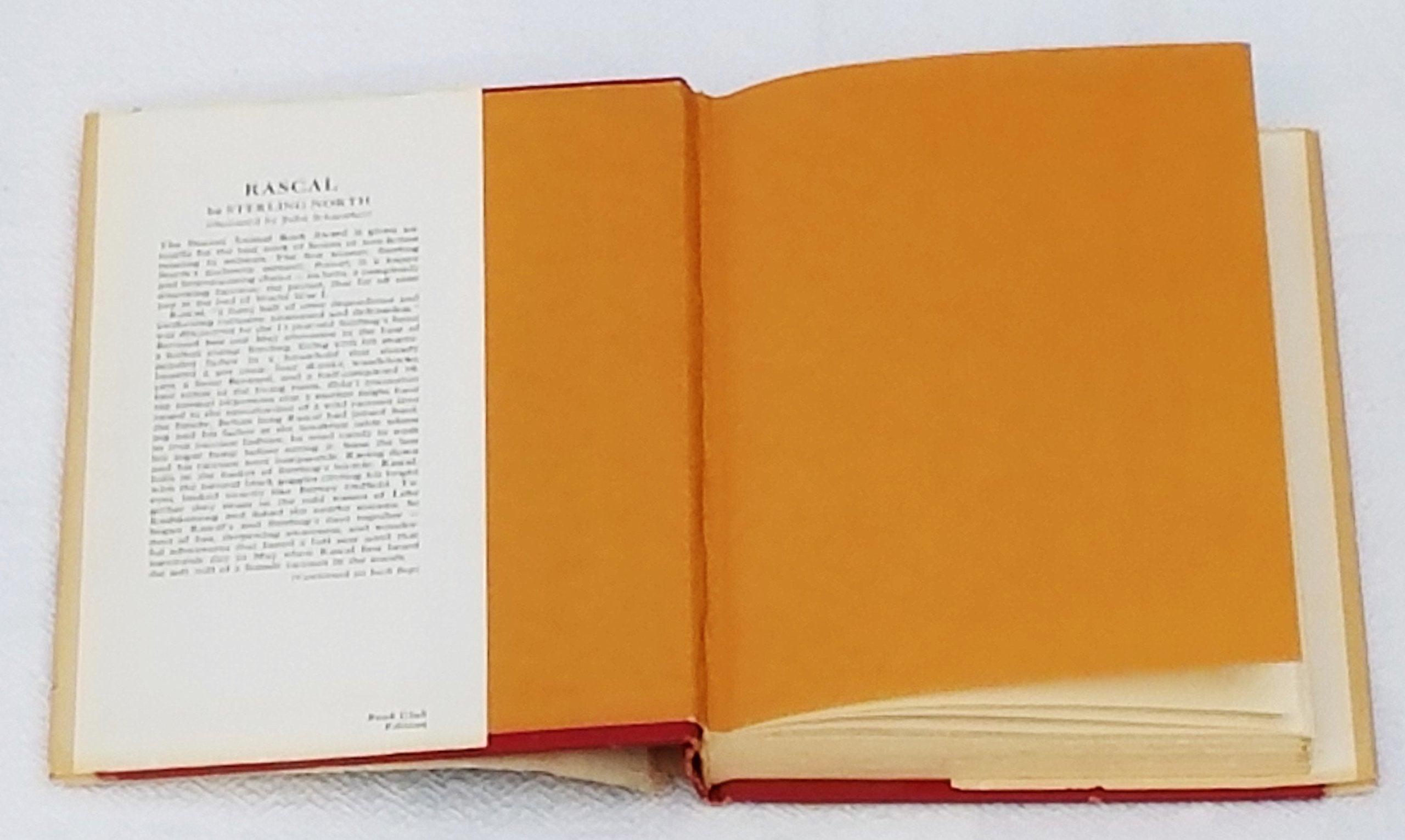 Rascal: A Memoir of a Better Era used book depot