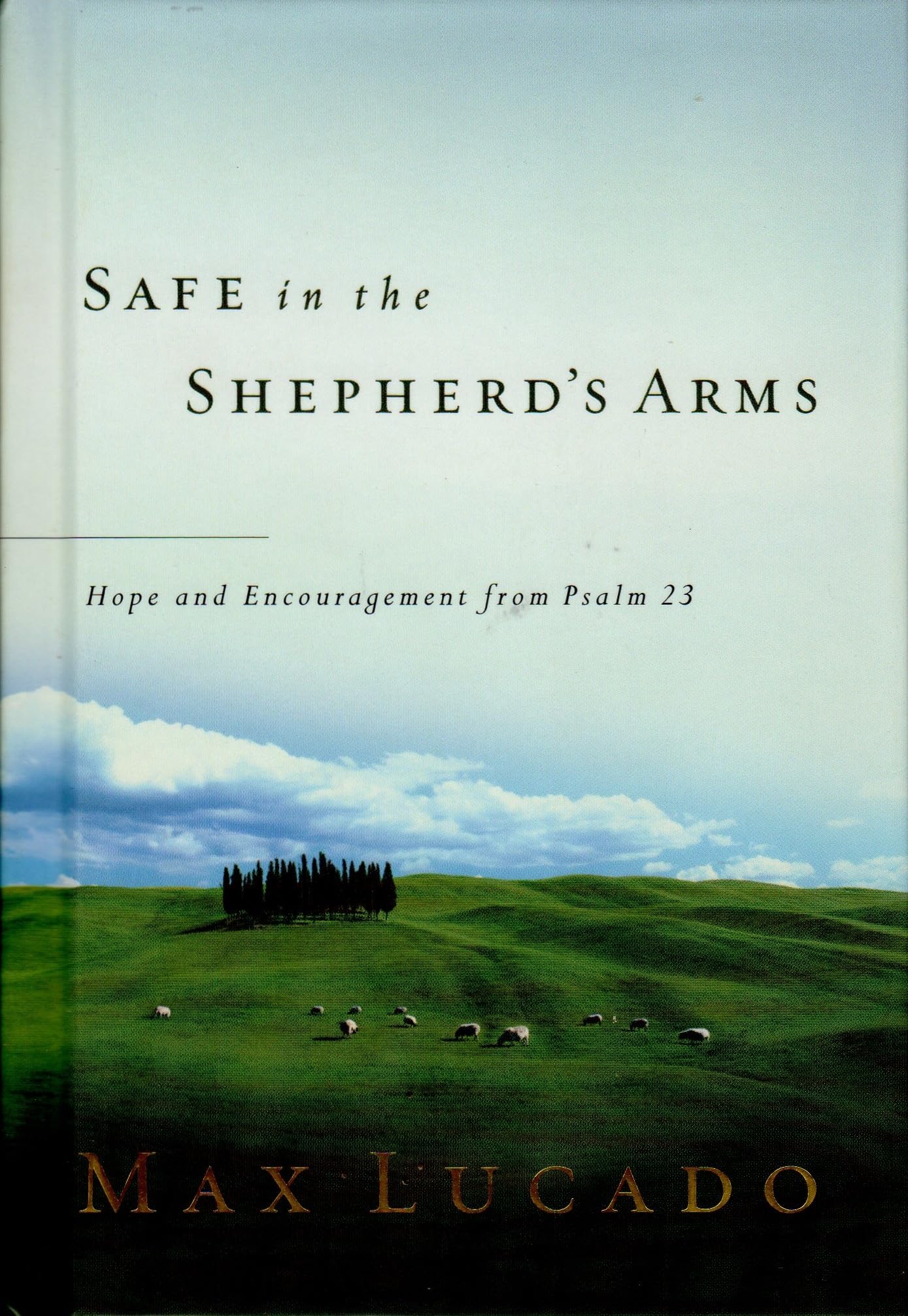 Safe in the Shepherd's Arms used book depot