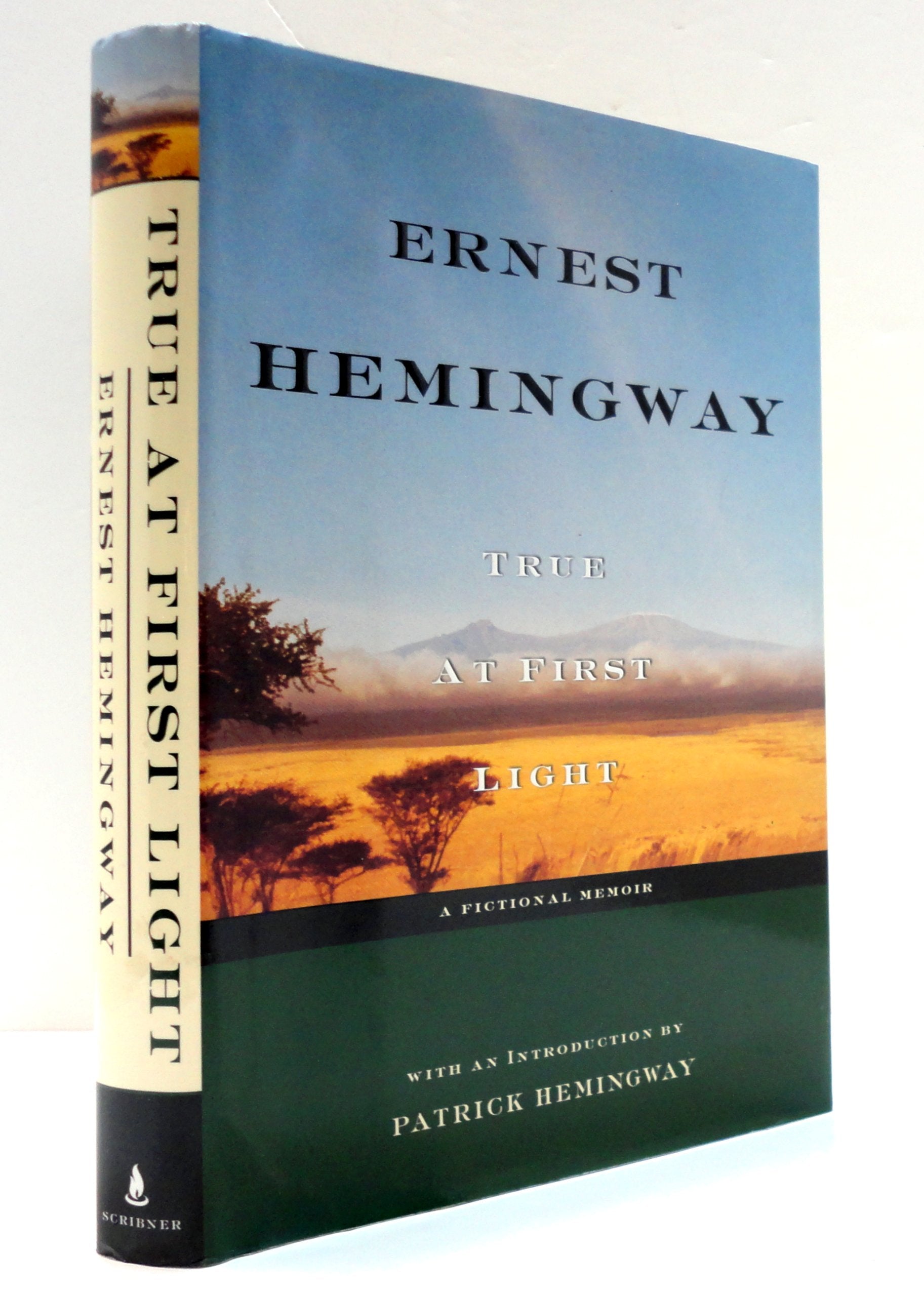 True at First Light: A Fictional Memoir used book depot