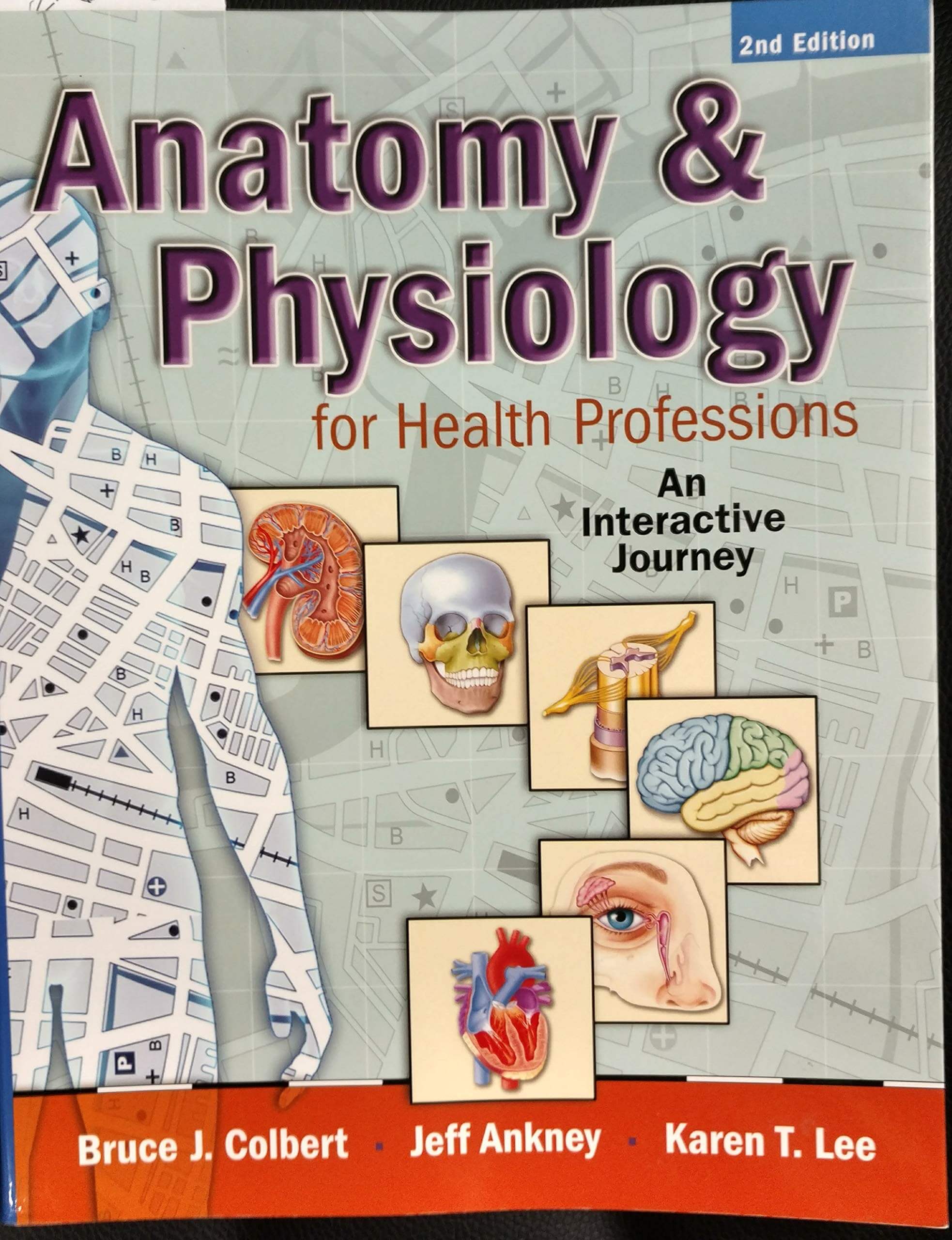 Anatomy & Physiology for Health Professions: An Interactive Journey, 2nd Edition used book depot