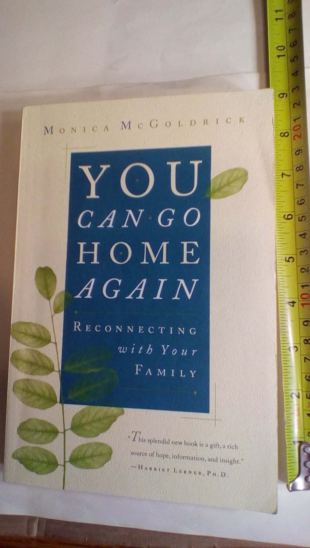 You Can Go Home Again: Reconnecting with Your Family used book depot