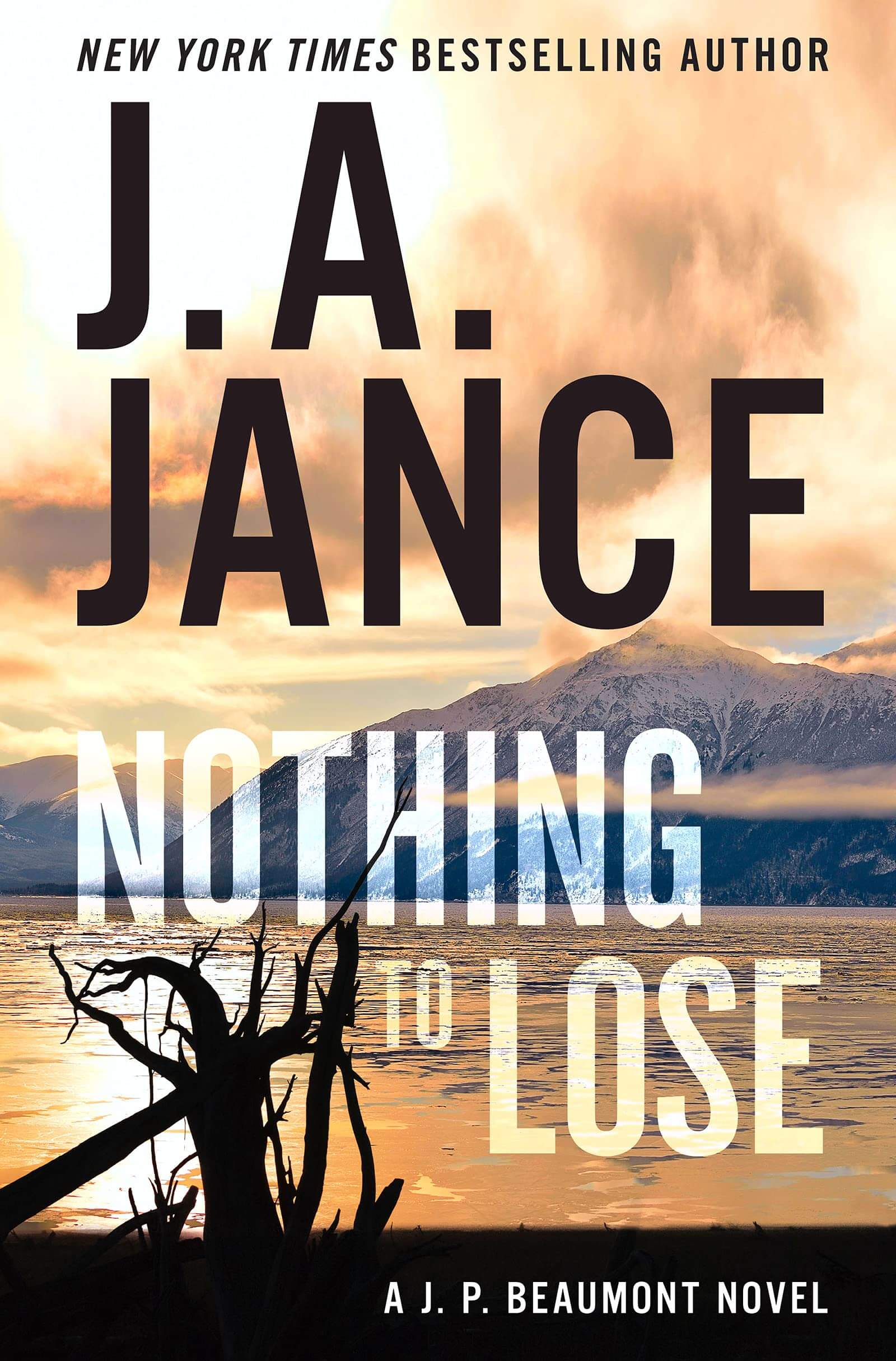 Nothing to Lose: A J.P. Beaumont Novel (J. P. Beaumont, 25) used book depot