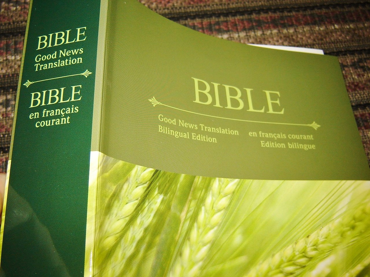 English - French Diglot Bible / Good News Translation - en Francais courant / Edition Bilingue / Bilingual Large Format Special Harvest Edition / SB1112 used book depot