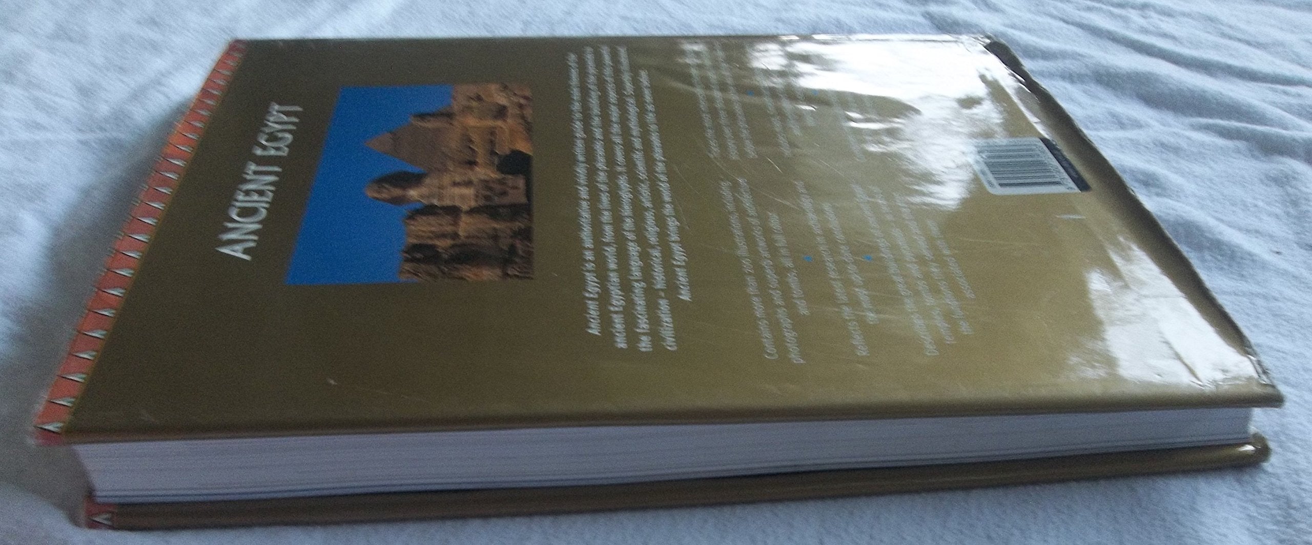 Ancient Egypt used book depot