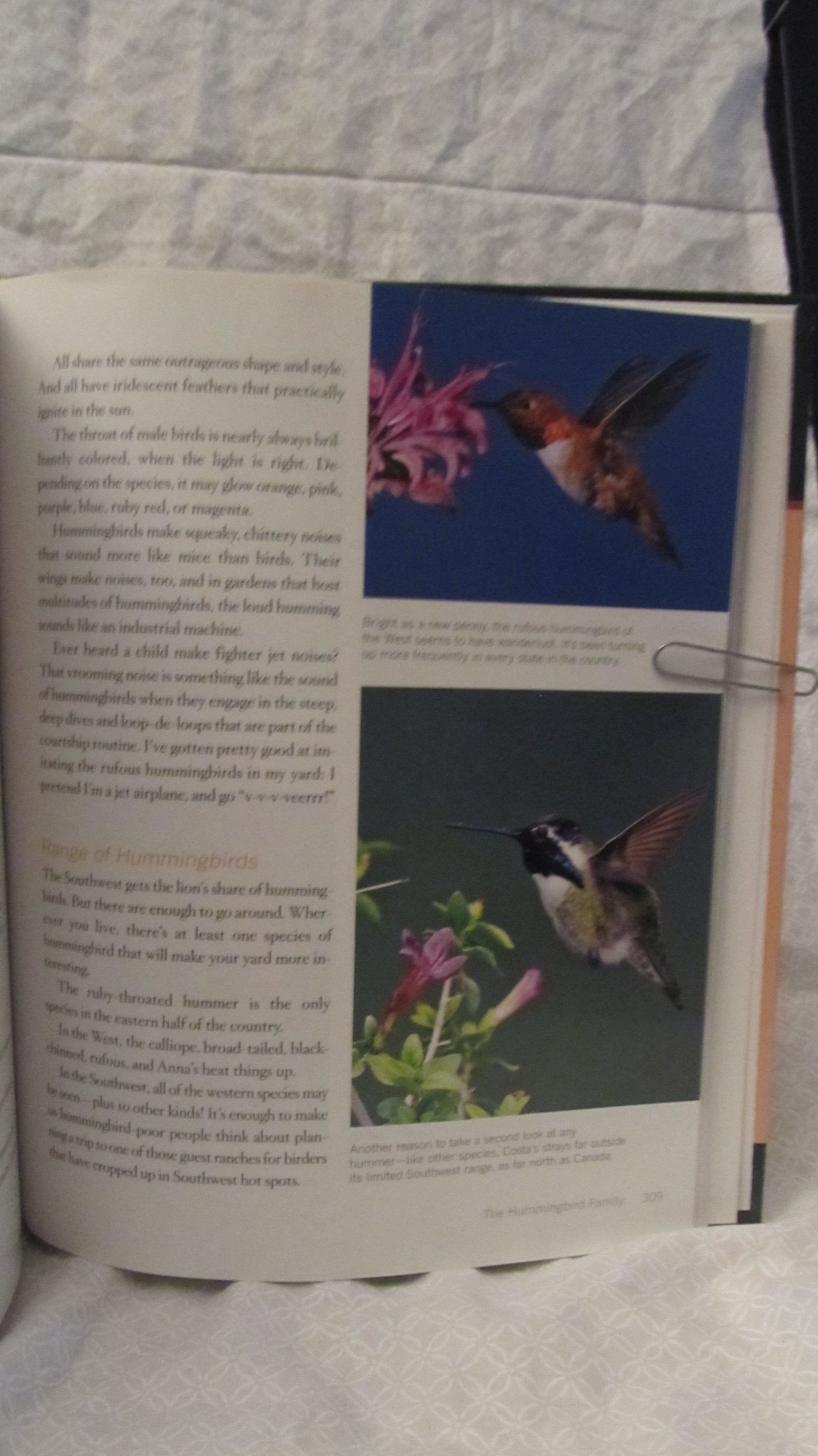 Rodale Books RODALE3113 Bird-by-Bird Gardening used book depot