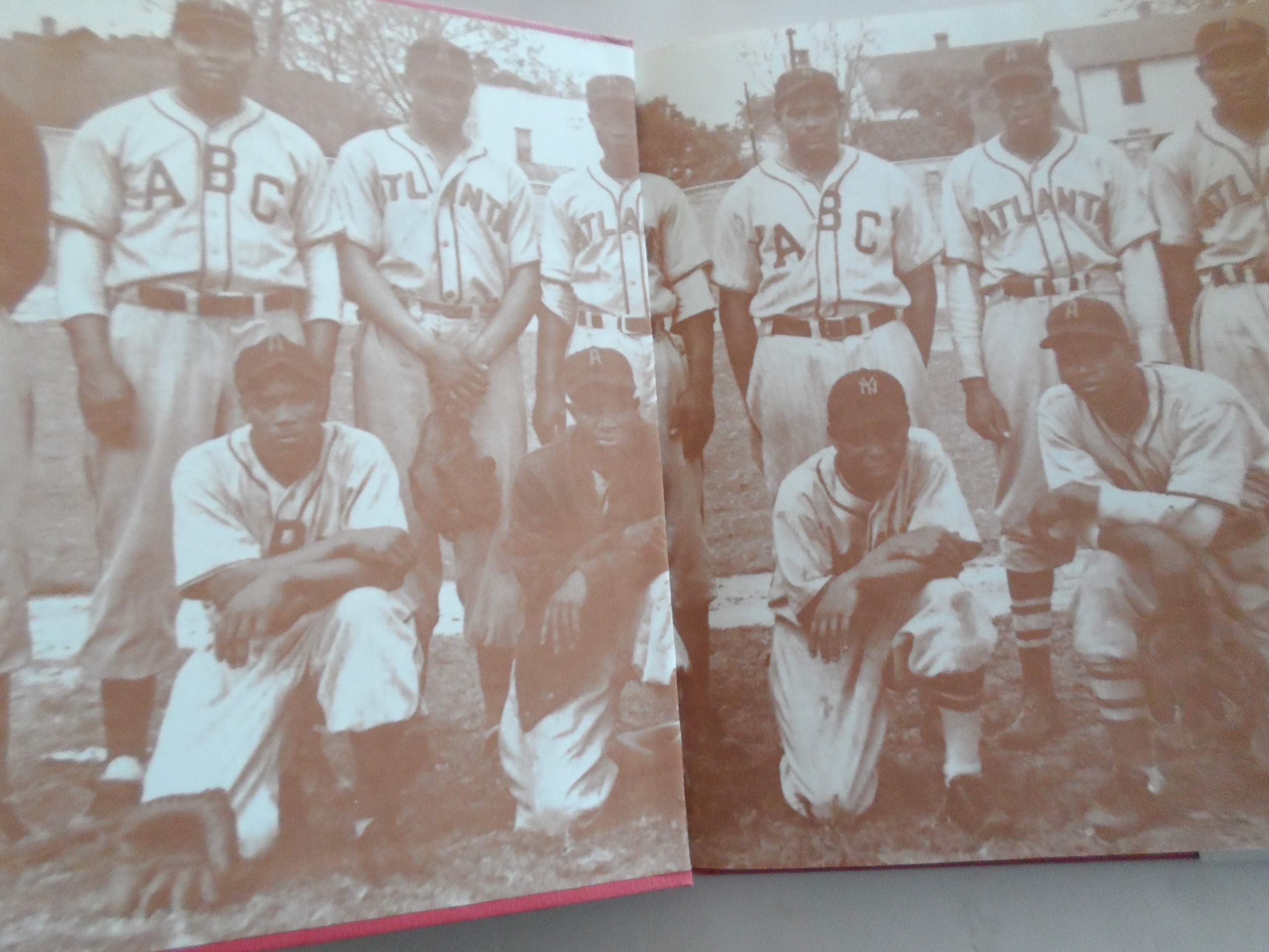 The Negro Leagues used book depot