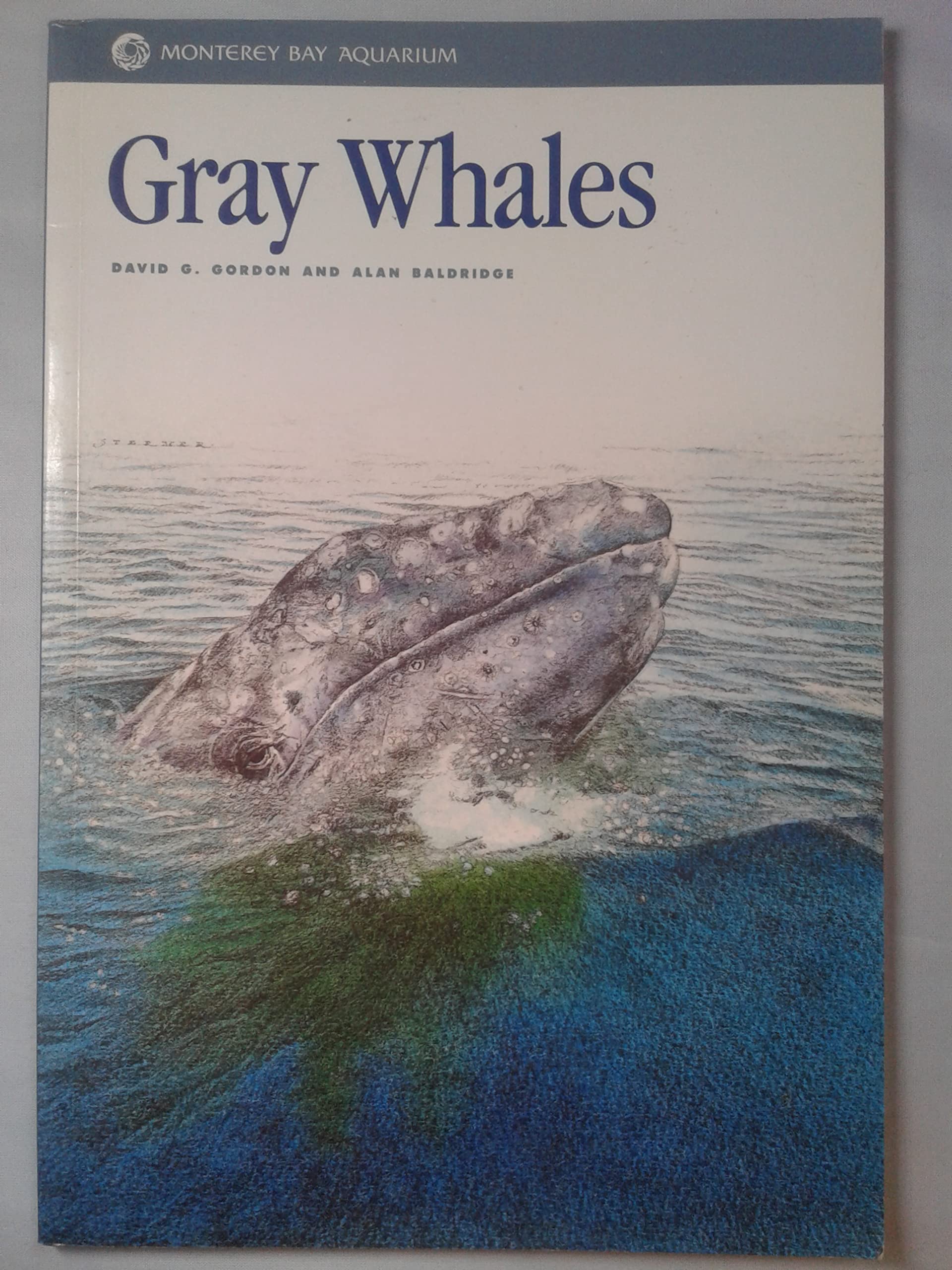 Gray Whales (Monterey Bay Aquarium Natural History Series) used book depot