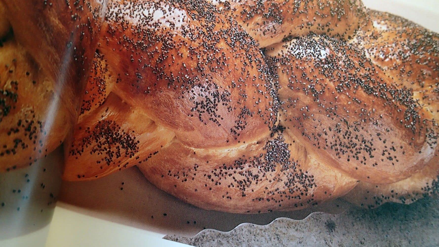 Rose's Melting Pot: A Cooking Tour of America's Ethnic Celebrations used book depot